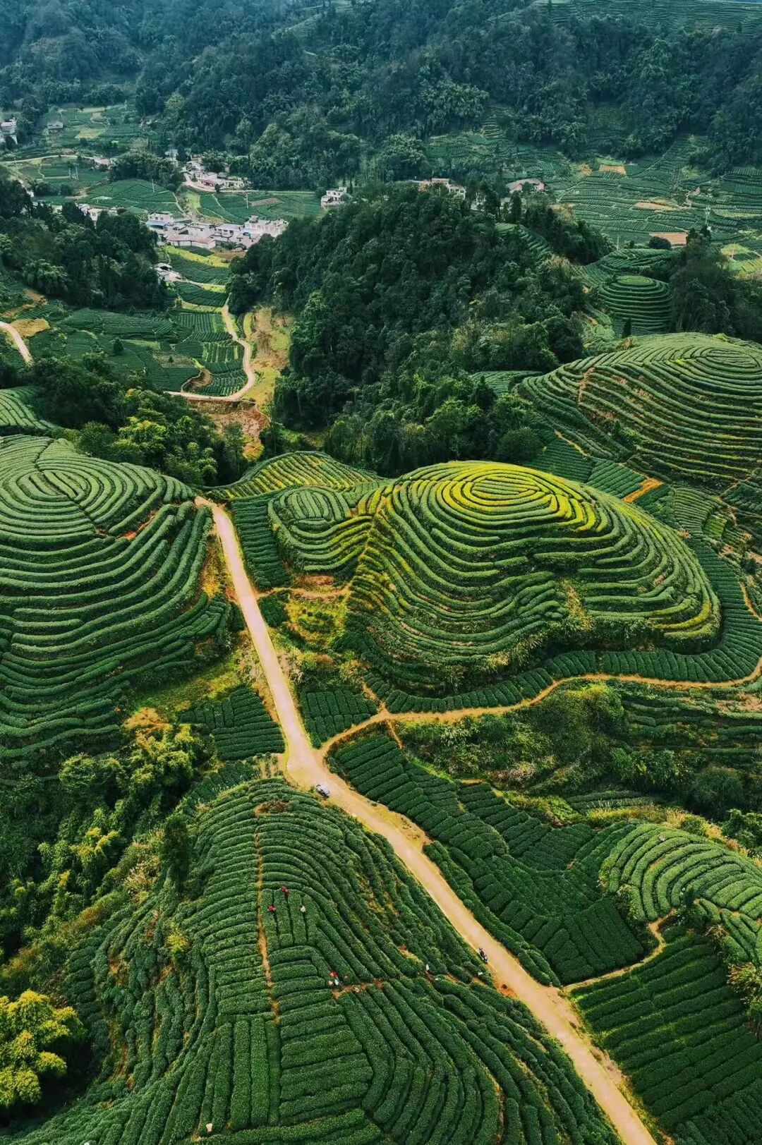 比成都人少，比川西低调，它才是国内最逍遥的宝藏地，坐拥世界级云海，却总被略过…