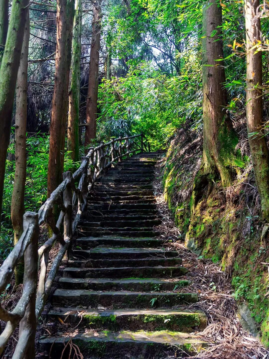 比成都人少，比川西低调，它才是国内最逍遥的宝藏地，坐拥世界级云海，却总被略过…