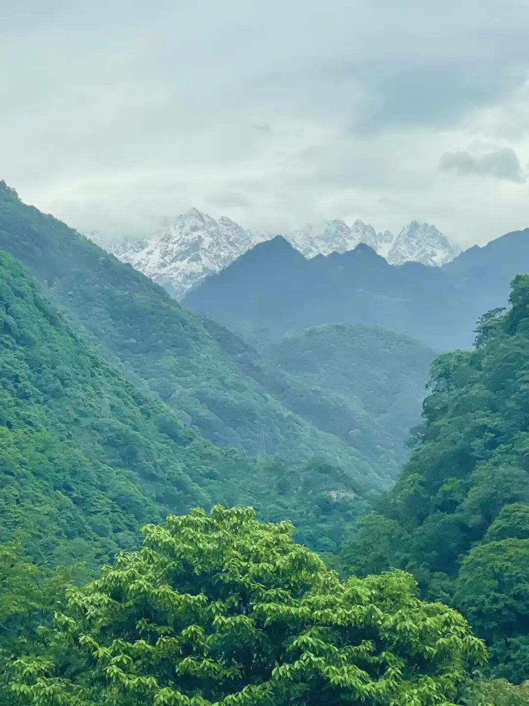 比成都人少，比川西低调，它才是国内最逍遥的宝藏地，坐拥世界级云海，却总被略过…