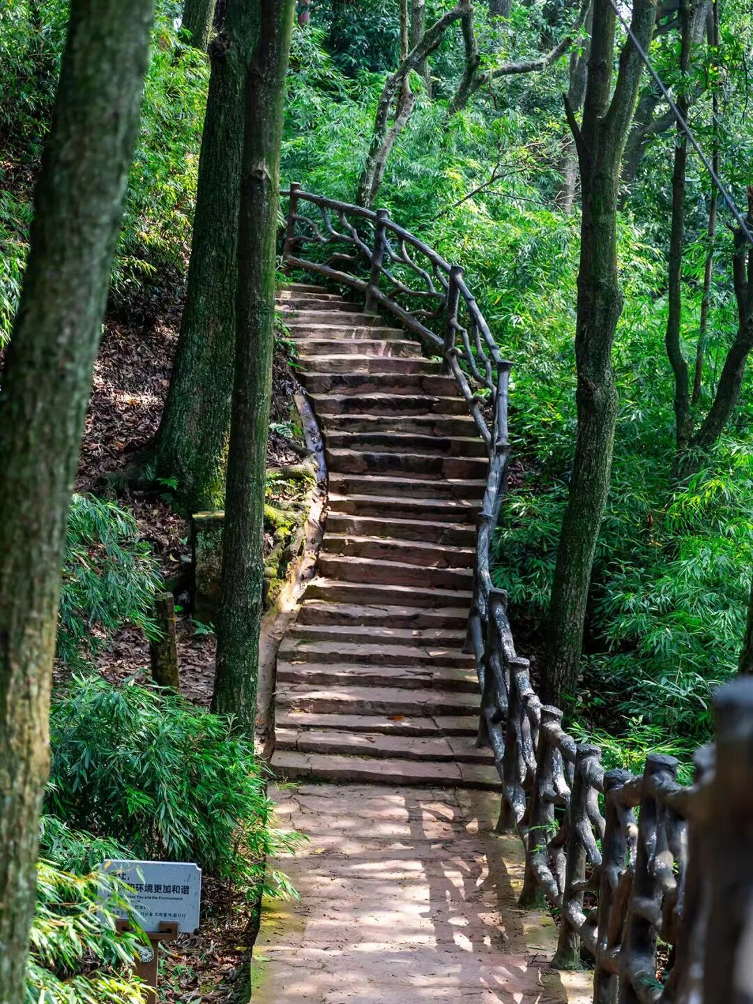 比成都人少，比川西低调，它才是国内最逍遥的宝藏地，坐拥世界级云海，却总被略过…