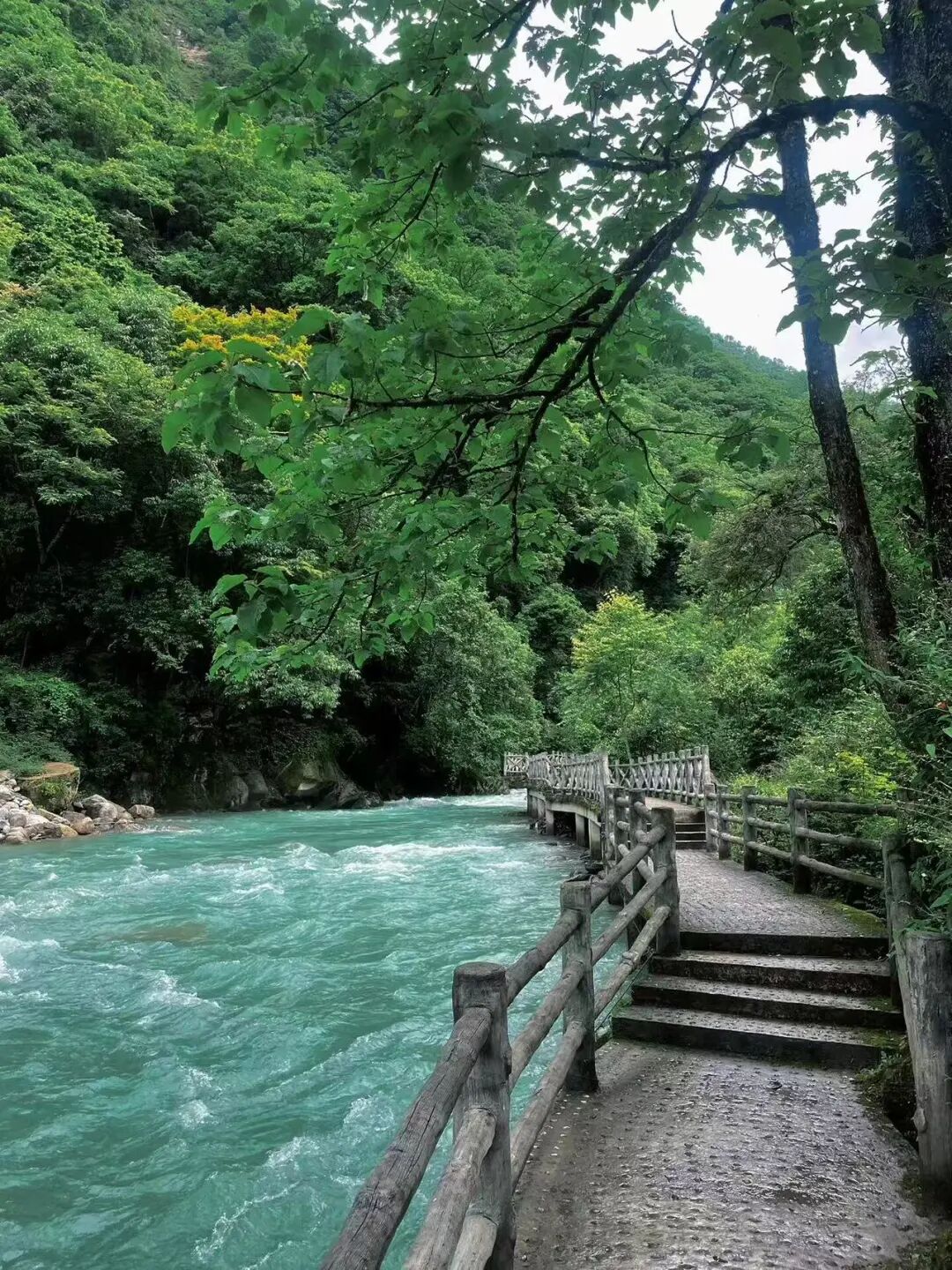 比成都人少，比川西低调，它才是国内最逍遥的宝藏地，坐拥世界级云海，却总被略过…