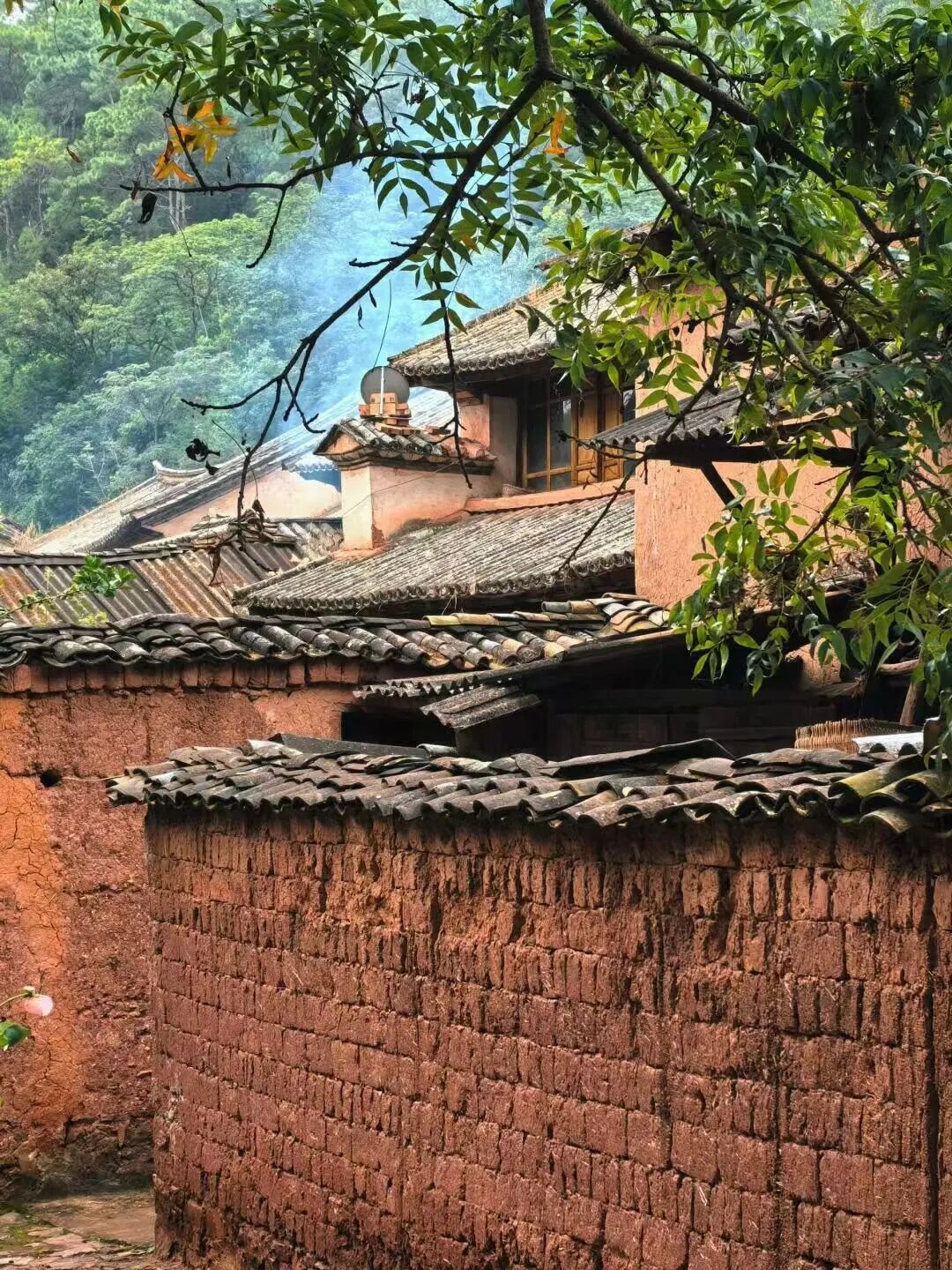 比大理原始，比丽江清净！这座活着的慢城，气候舒适，物价不高，太适合来隐居躺平了