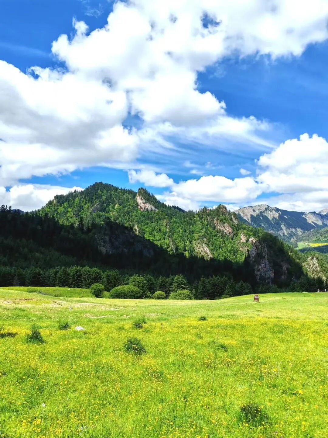 比西藏近，比新疆纯净，夏日均温22℃，这个没有高反的神仙避暑地，不堵车、游客少