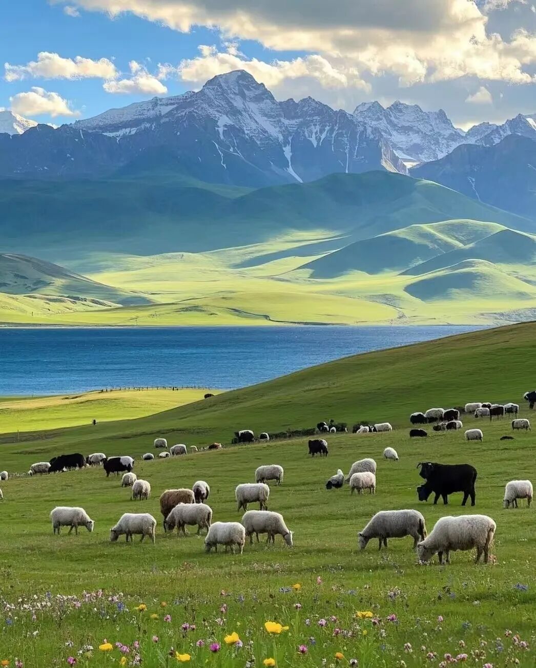 比西藏近，比新疆纯净，夏日均温22℃，这个没有高反的神仙避暑地，不堵车、游客少