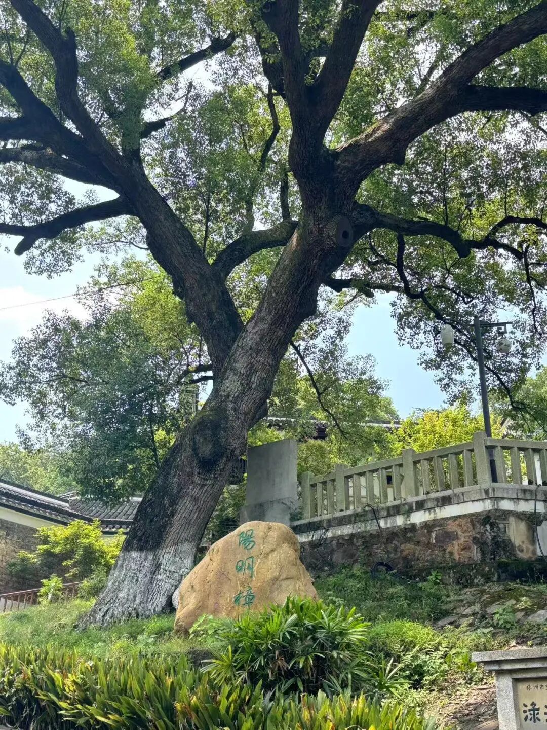 比大理人少，比景德镇好逛，这座惊艳的小城，景点门票免费，好吃好玩，很多人却连名字都念不对