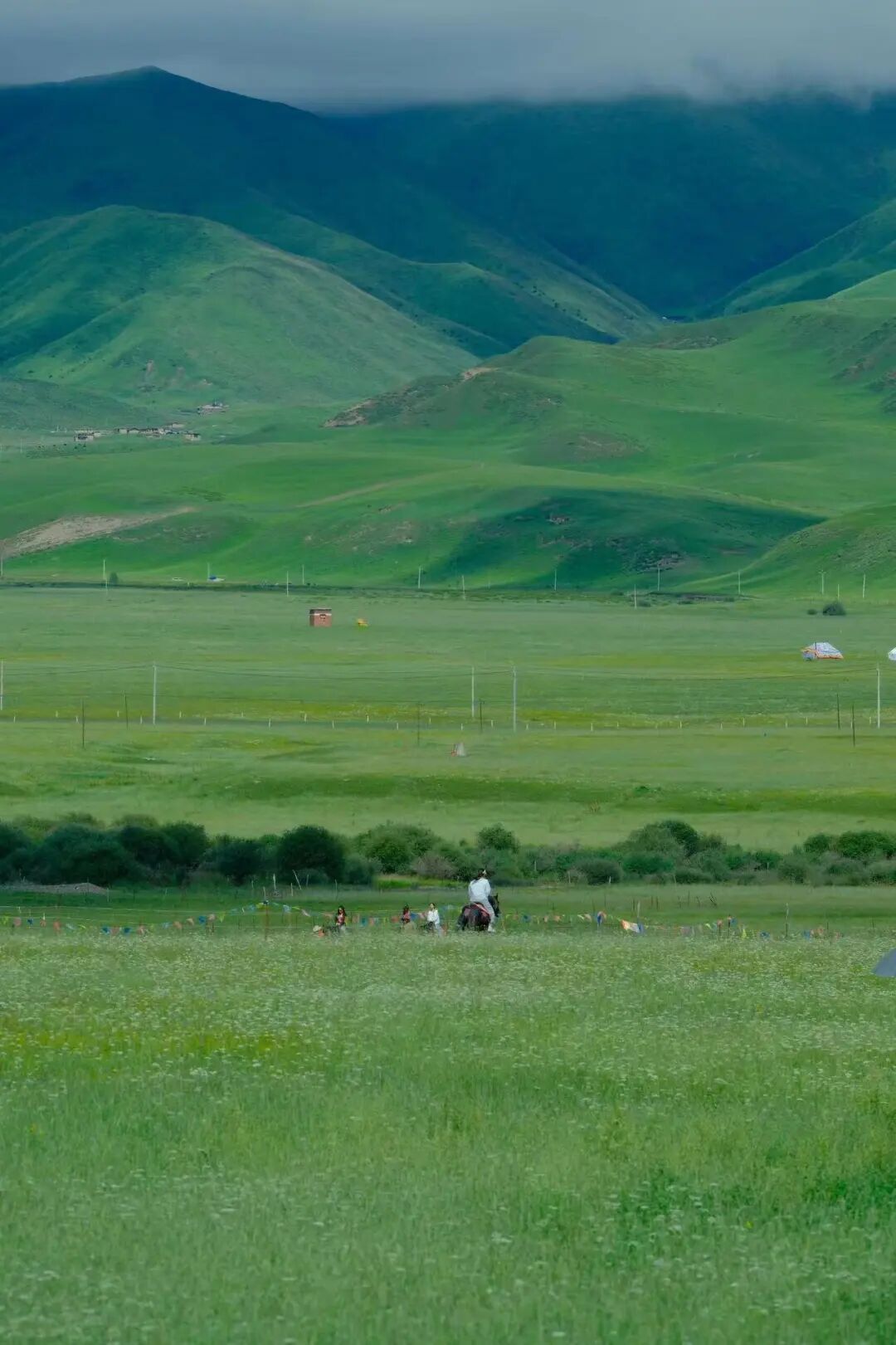 比西藏近，比新疆纯净，夏日均温22℃，这个没有高反的神仙避暑地，不堵车、游客少