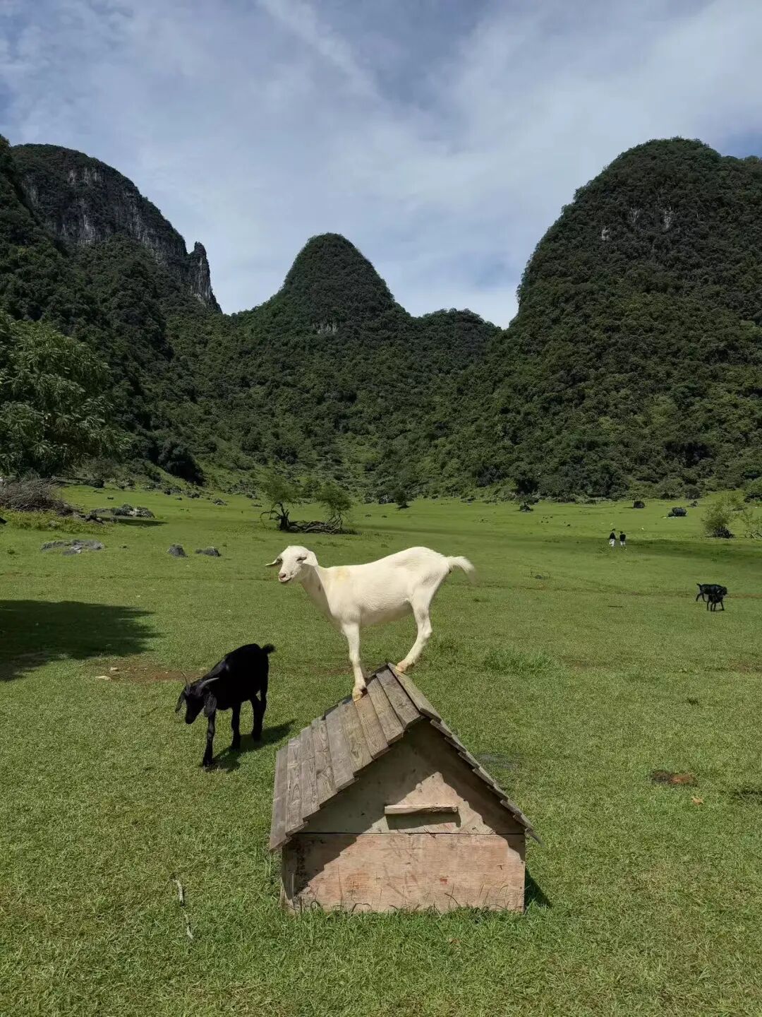 中国水质最好的城市，风景不输桂林，却凭一碗粉征服全球吃货的心~