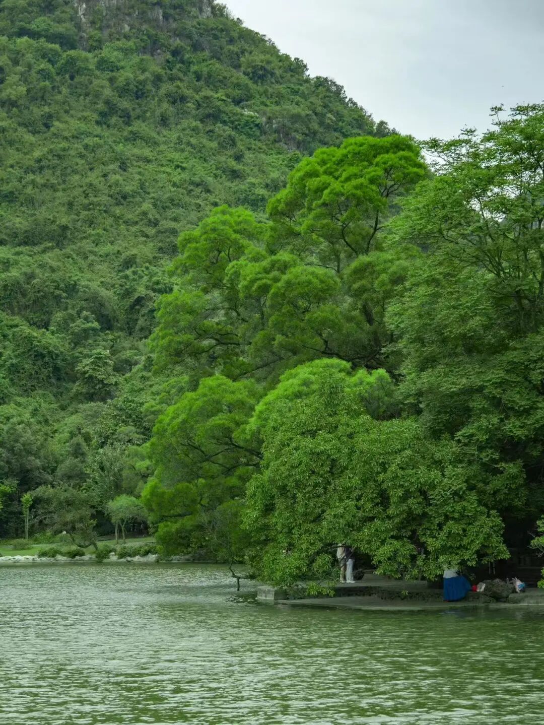 中国水质最好的城市，风景不输桂林，却凭一碗粉征服全球吃货的心~