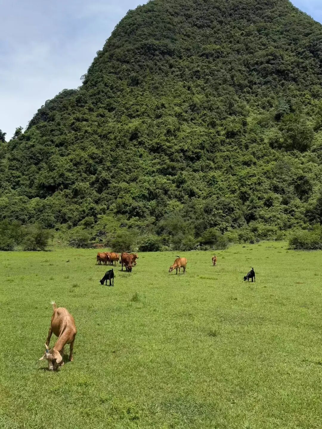中国水质最好的城市，风景不输桂林，却凭一碗粉征服全球吃货的心~