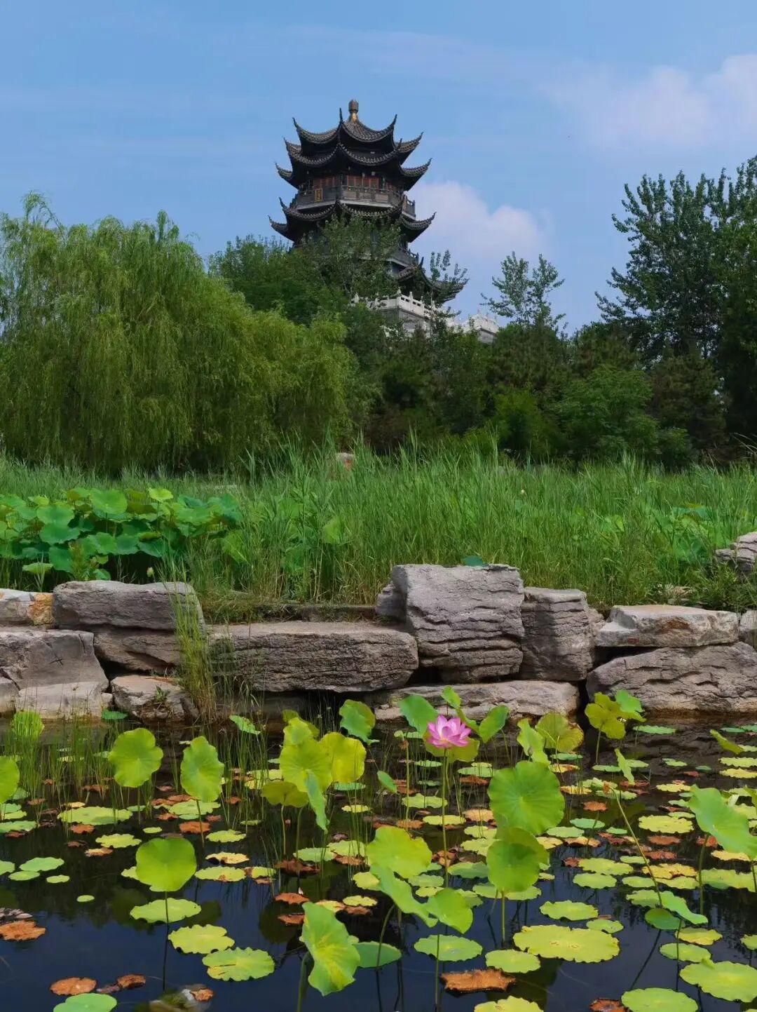 比青岛便宜！国内唯一油田和大海并存的城市，海鲜论盆吃，几乎0游客！