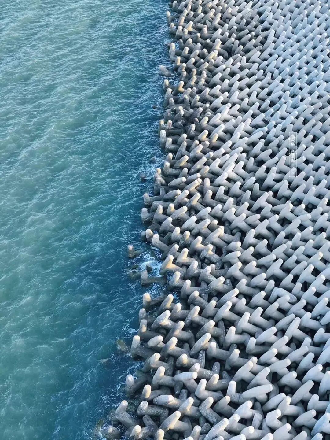 比青岛便宜！国内唯一油田和大海并存的城市，海鲜论盆吃，几乎0游客！