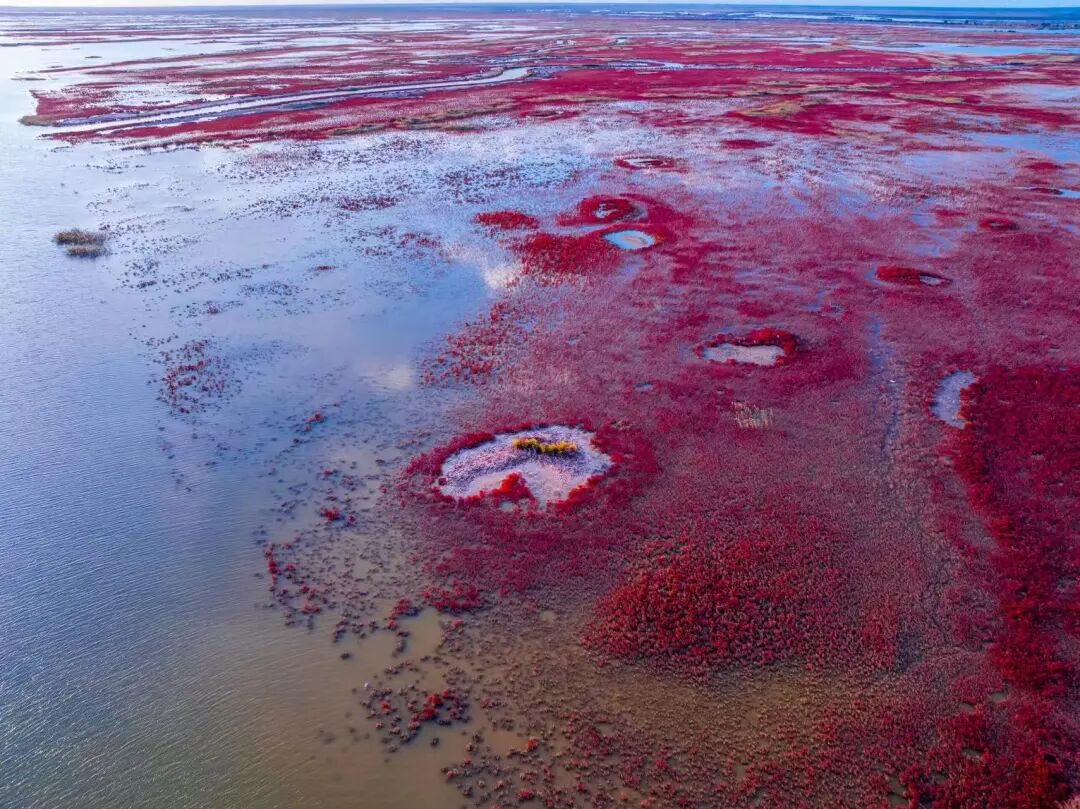 比青岛便宜！国内唯一油田和大海并存的城市，海鲜论盆吃，几乎0游客！