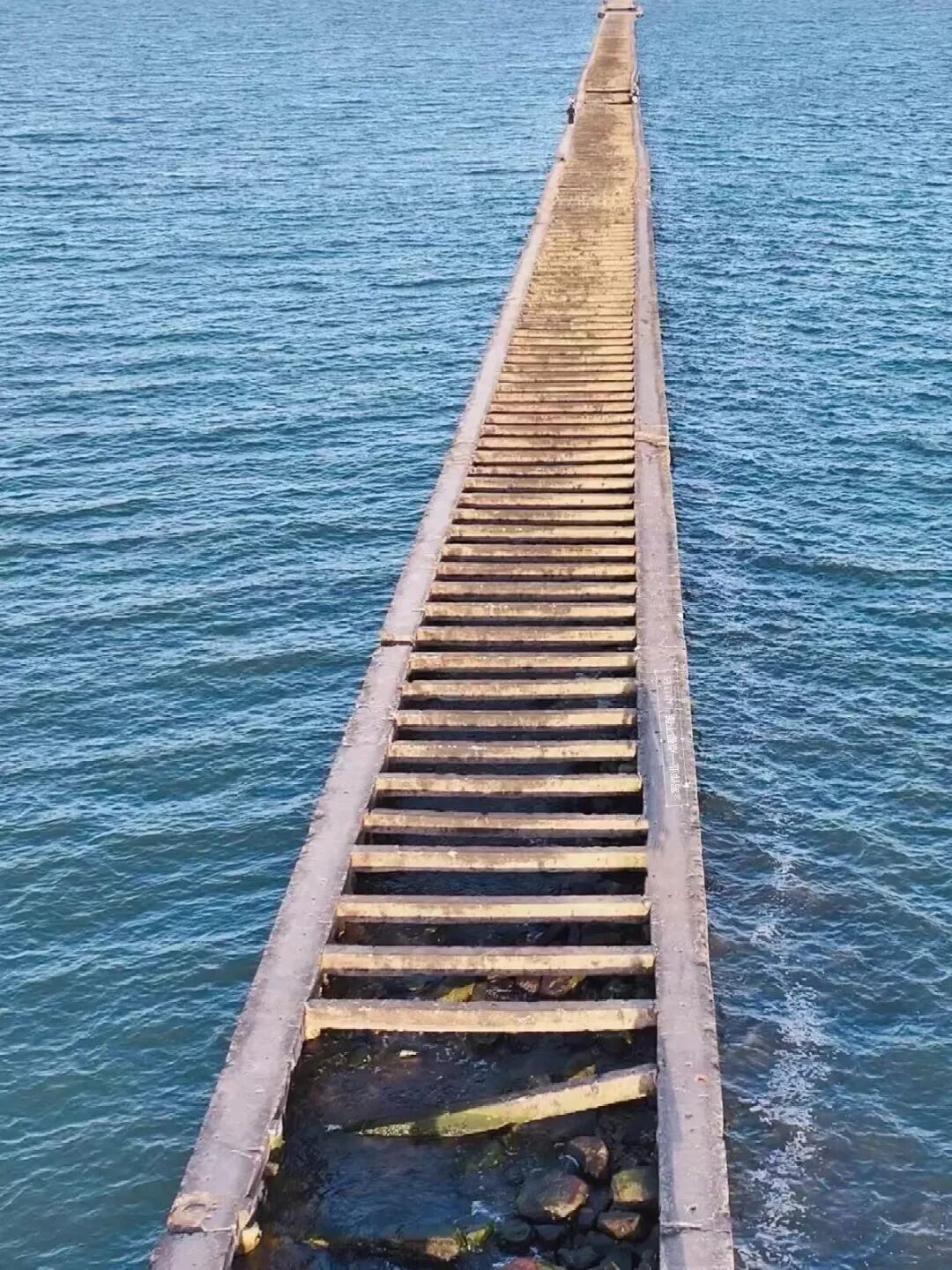 比青岛便宜！国内唯一油田和大海并存的城市，海鲜论盆吃，几乎0游客！