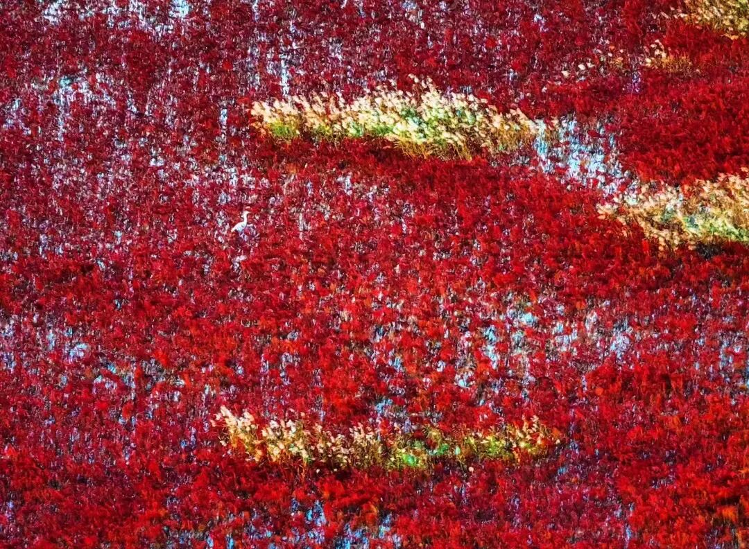 比青岛便宜！国内唯一油田和大海并存的城市，海鲜论盆吃，几乎0游客！