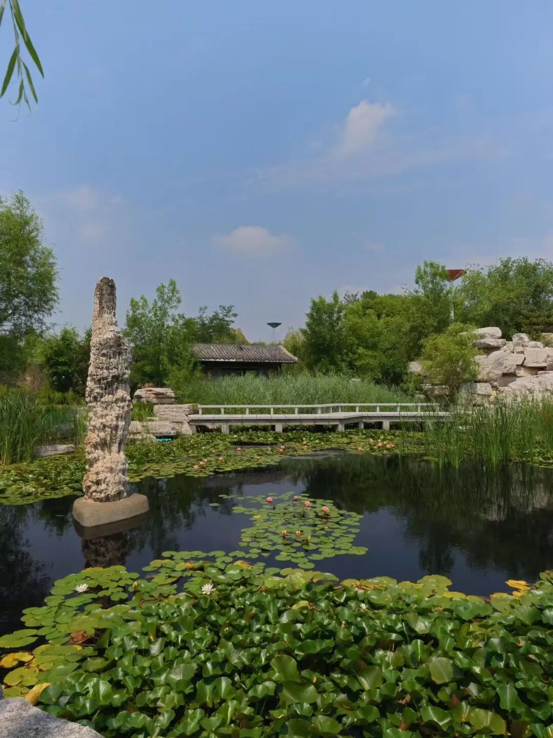 比青岛便宜！国内唯一油田和大海并存的城市，海鲜论盆吃，几乎0游客！