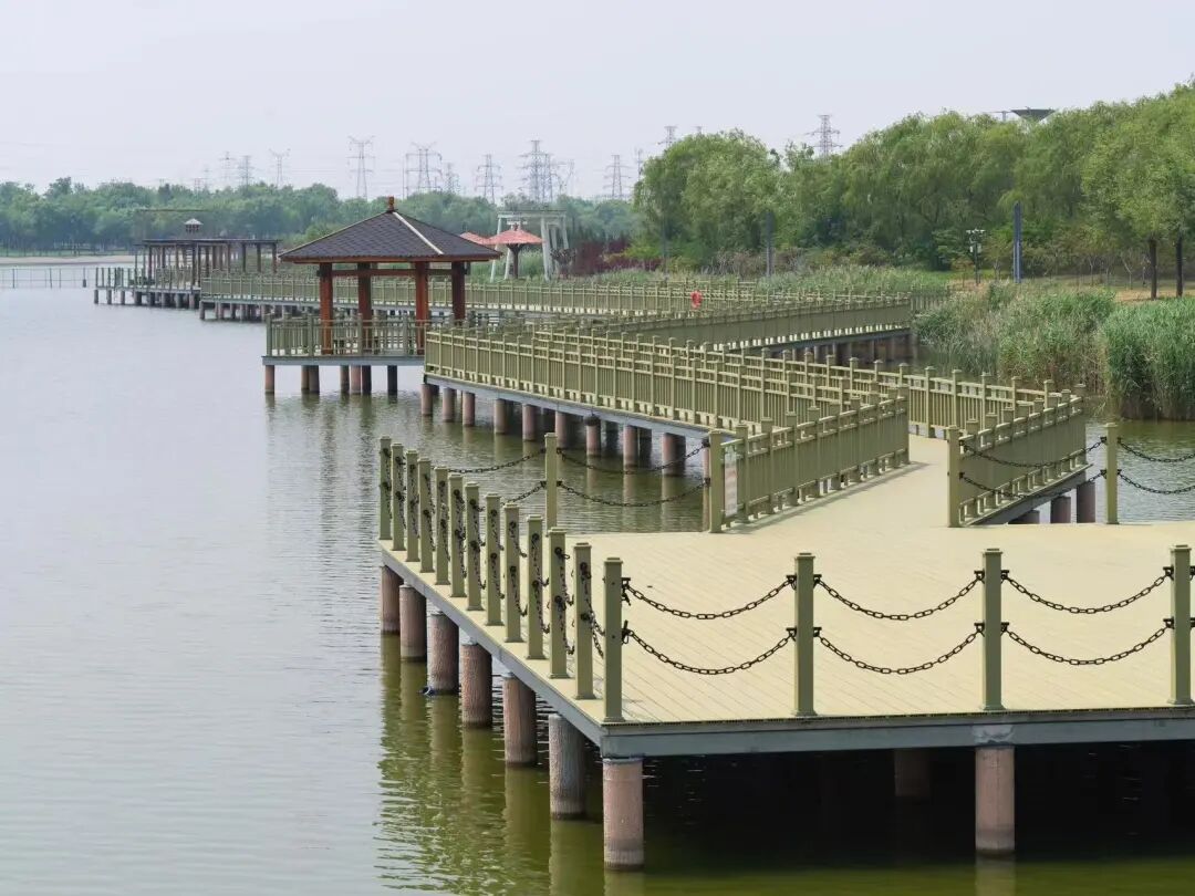 比青岛便宜！国内唯一油田和大海并存的城市，海鲜论盆吃，几乎0游客！