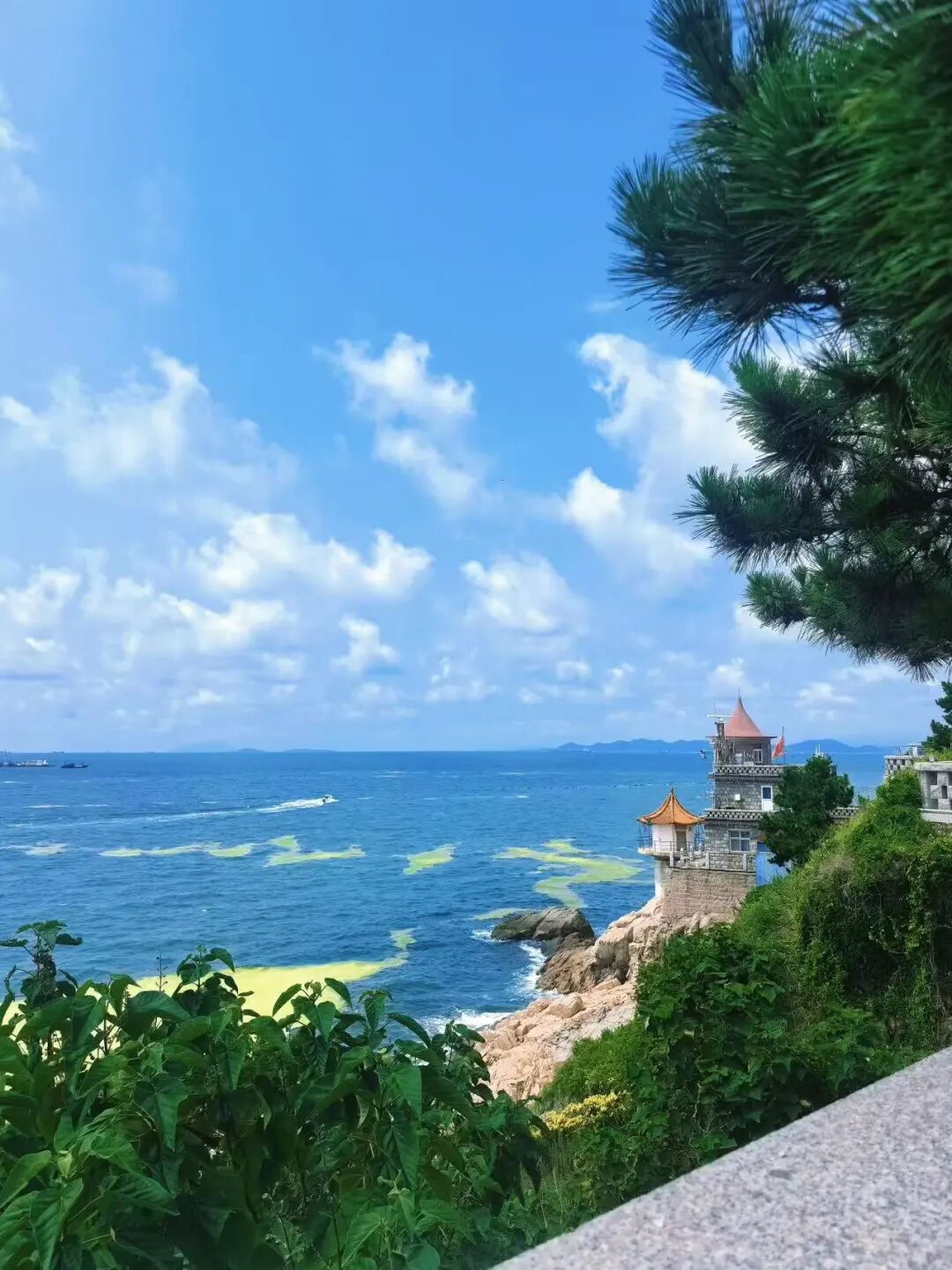 机票只要200+，秋天最浪漫的海滨城市，梭子蟹论桶买，轻松实现海鲜自由