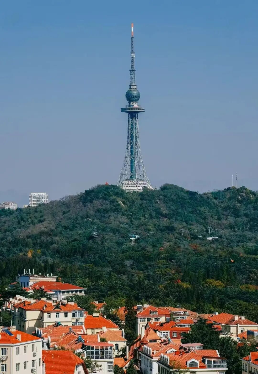 机票只要200+，秋天最浪漫的海滨城市，梭子蟹论桶买，轻松实现海鲜自由