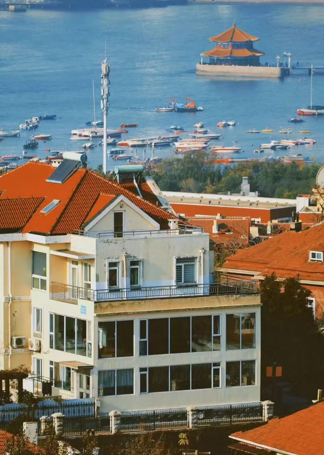 机票只要200+，秋天最浪漫的海滨城市，梭子蟹论桶买，轻松实现海鲜自由