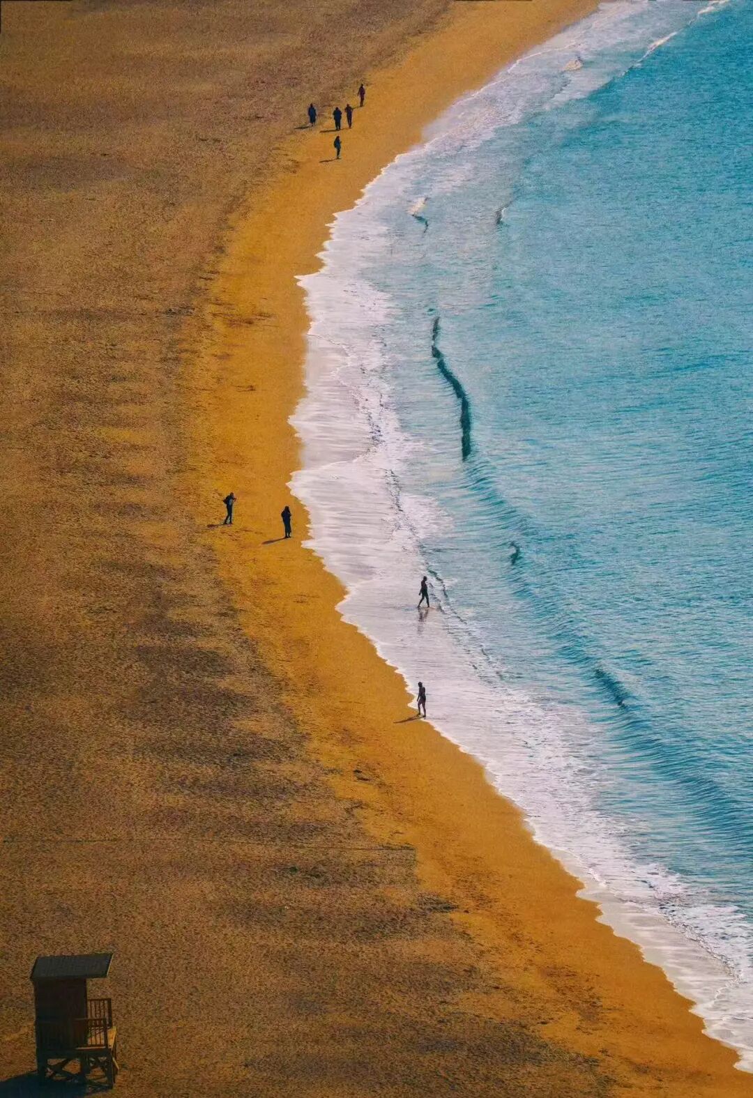 机票只要200+，秋天最浪漫的海滨城市，梭子蟹论桶买，轻松实现海鲜自由