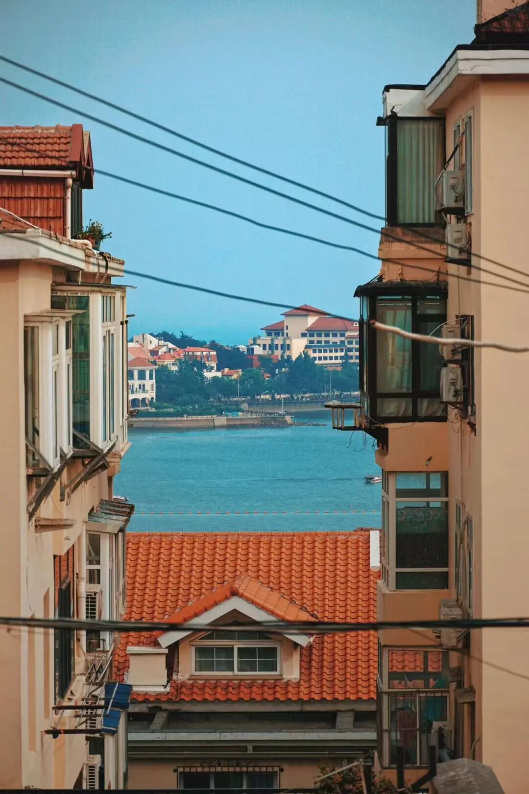 机票只要200+，秋天最浪漫的海滨城市，梭子蟹论桶买，轻松实现海鲜自由