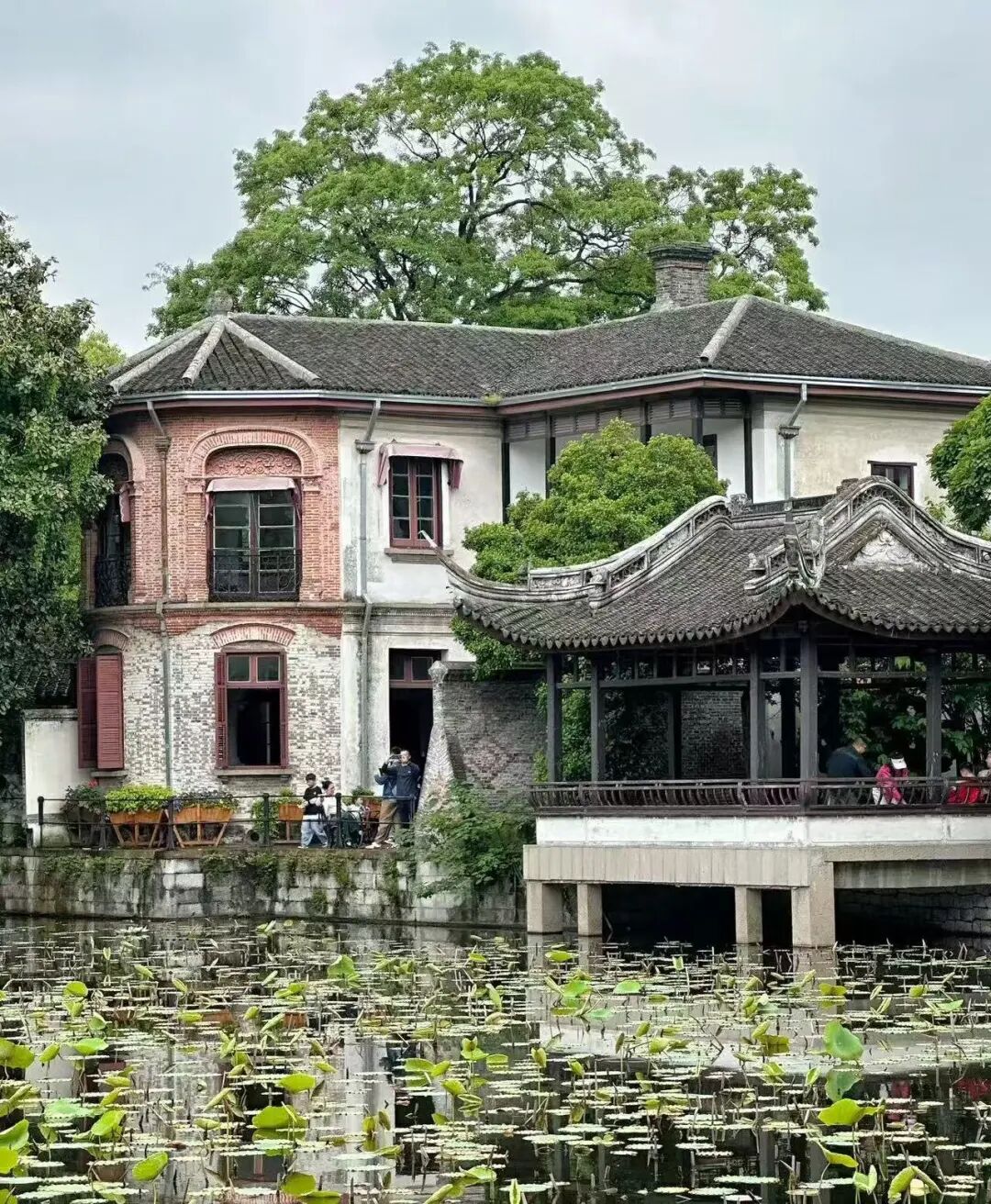 永久免费！比起乌镇，我更爱这个被严重低估的古镇，不愧是《国家地理》评选的江南最美！