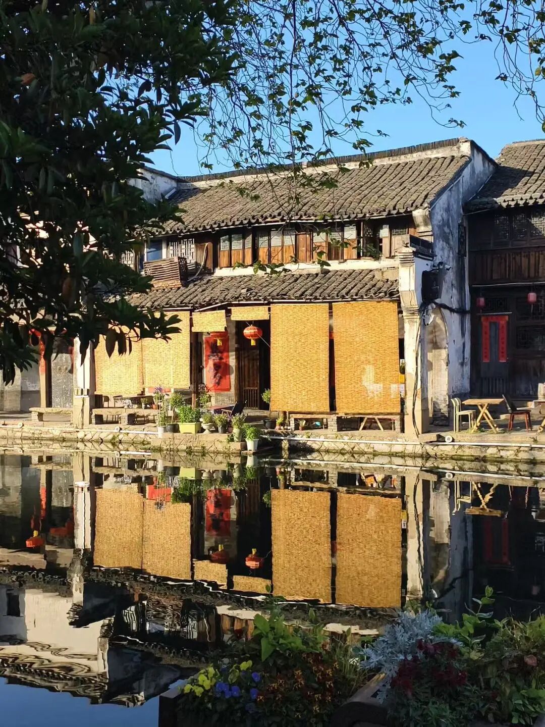 永久免费！比起乌镇，我更爱这个被严重低估的古镇，不愧是《国家地理》评选的江南最美！