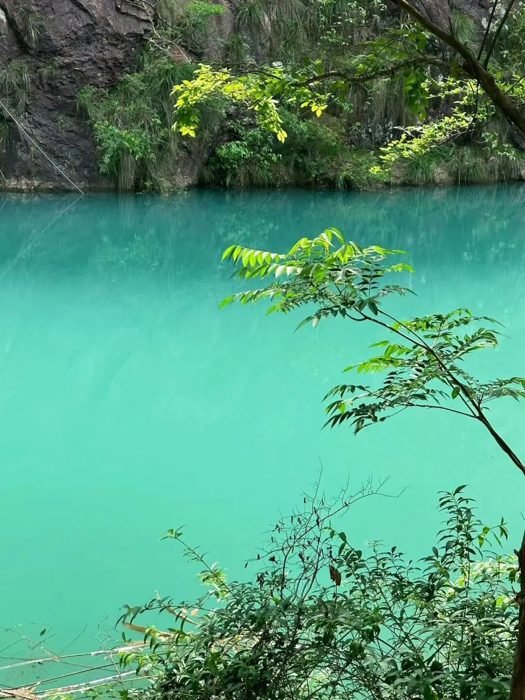 高铁15mins！美食不输台州，糯叽叽的碳水小城，人均30吃到撑，超适合看球逛吃！