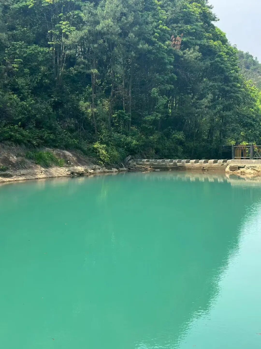 高铁15mins！美食不输台州，糯叽叽的碳水小城，人均30吃到撑，超适合看球逛吃！