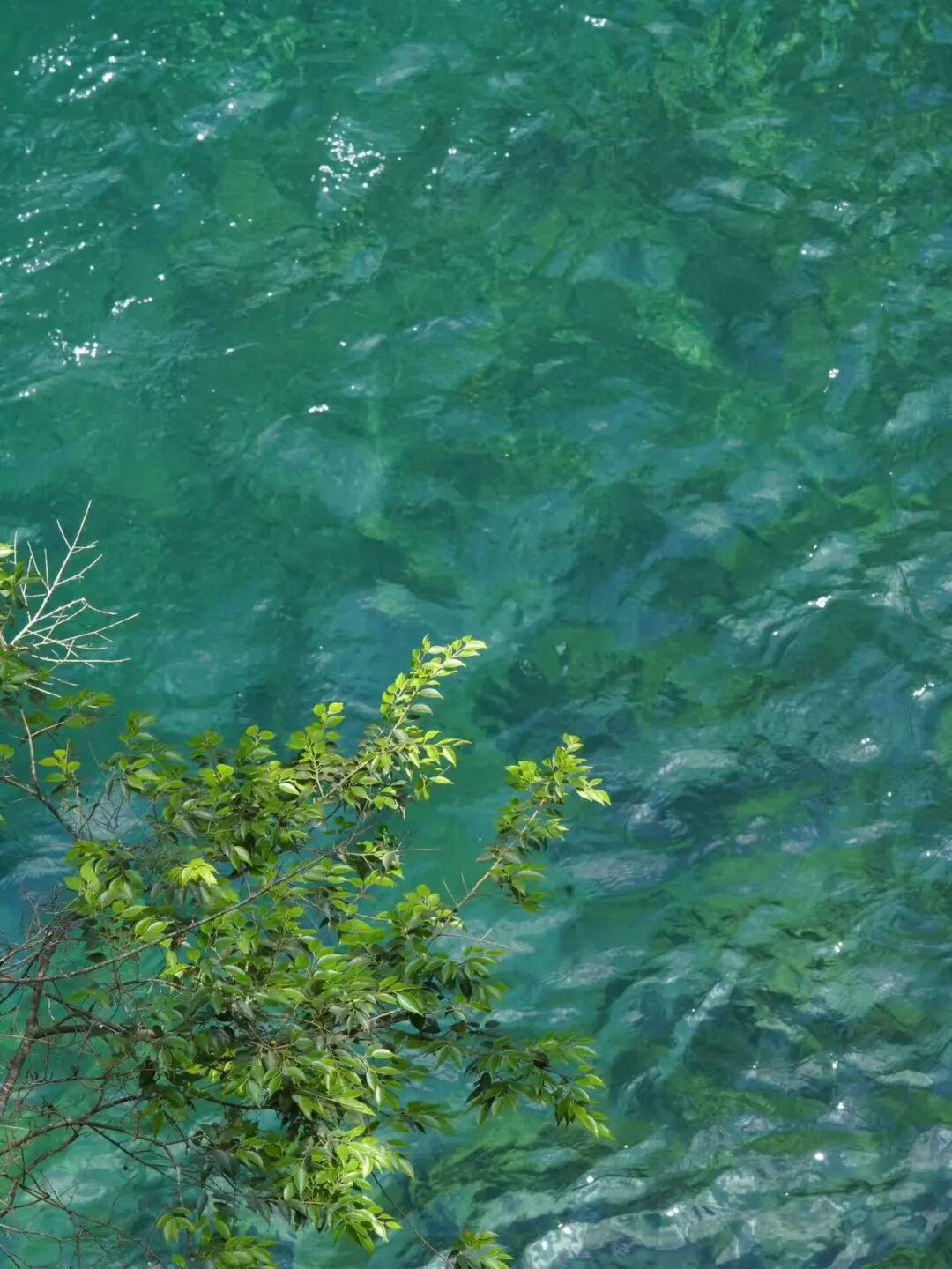 高铁15mins！美食不输台州，糯叽叽的碳水小城，人均30吃到撑，超适合看球逛吃！