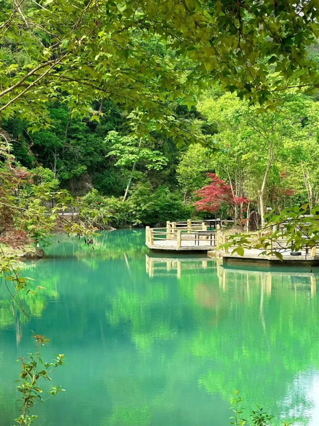 高铁15mins！美食不输台州，糯叽叽的碳水小城，人均30吃到撑，超适合看球逛吃！