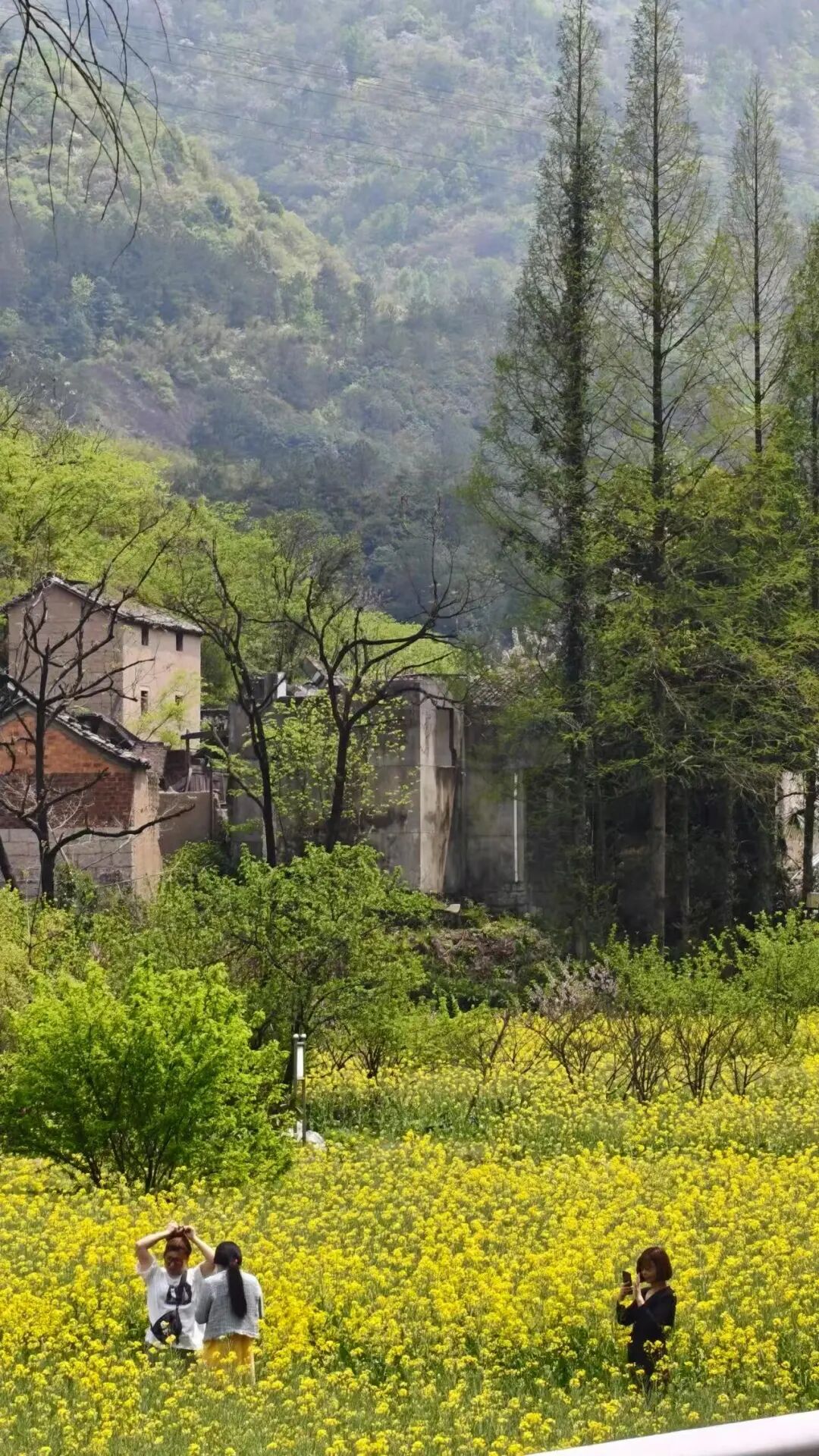 高铁15mins！美食不输台州，糯叽叽的碳水小城，人均30吃到撑，超适合看球逛吃！