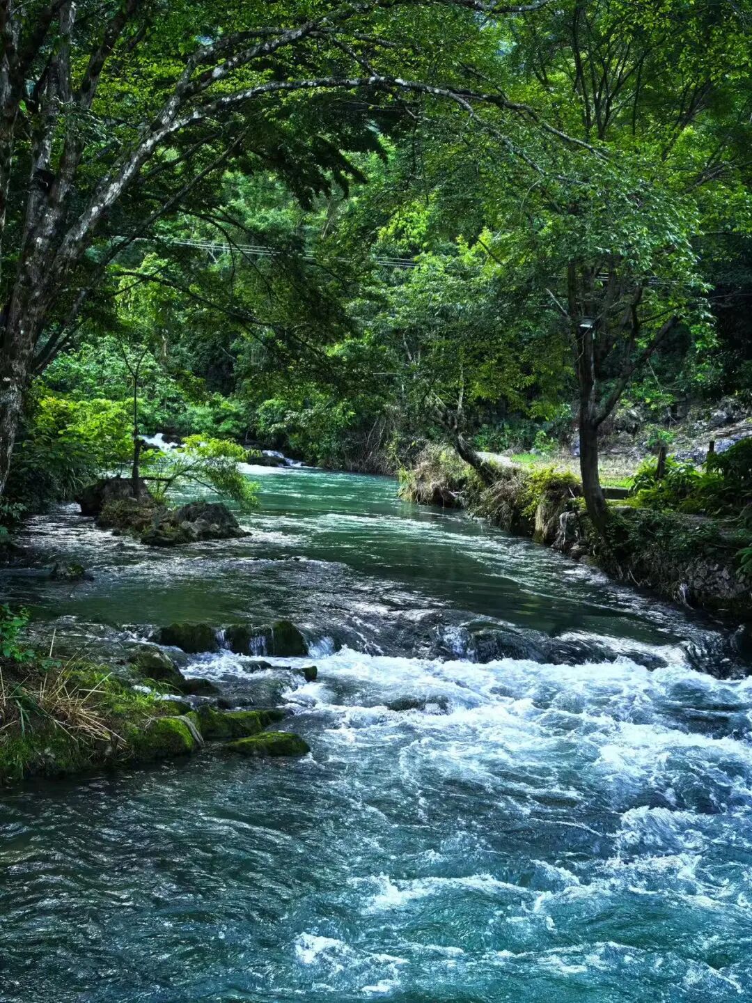 挖到最有“爽感”的小城，国内顶流，自带空调模式，没蚊子，8月全年人少最美！
