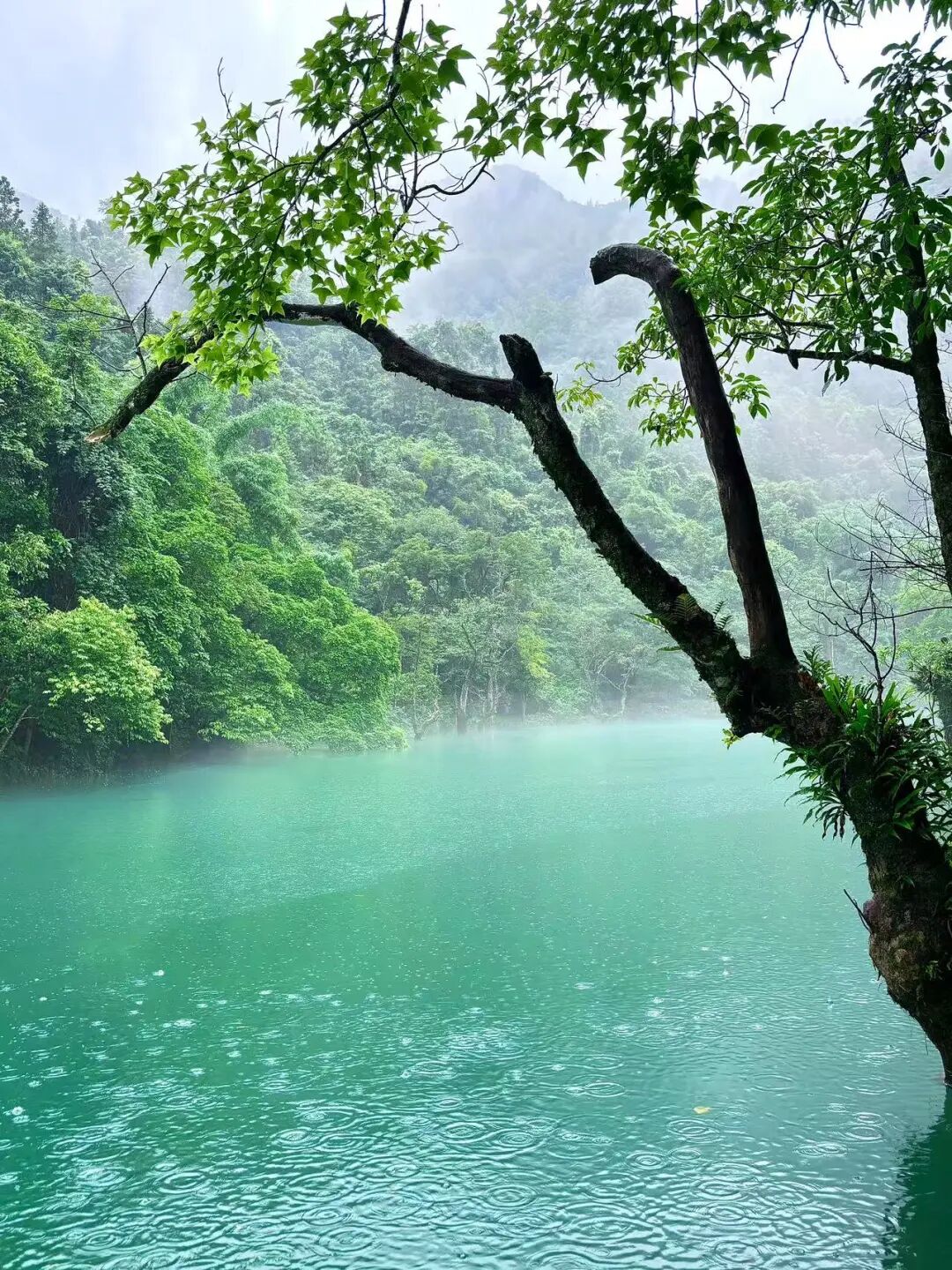 挖到最有“爽感”的小城，国内顶流，自带空调模式，没蚊子，8月全年人少最美！