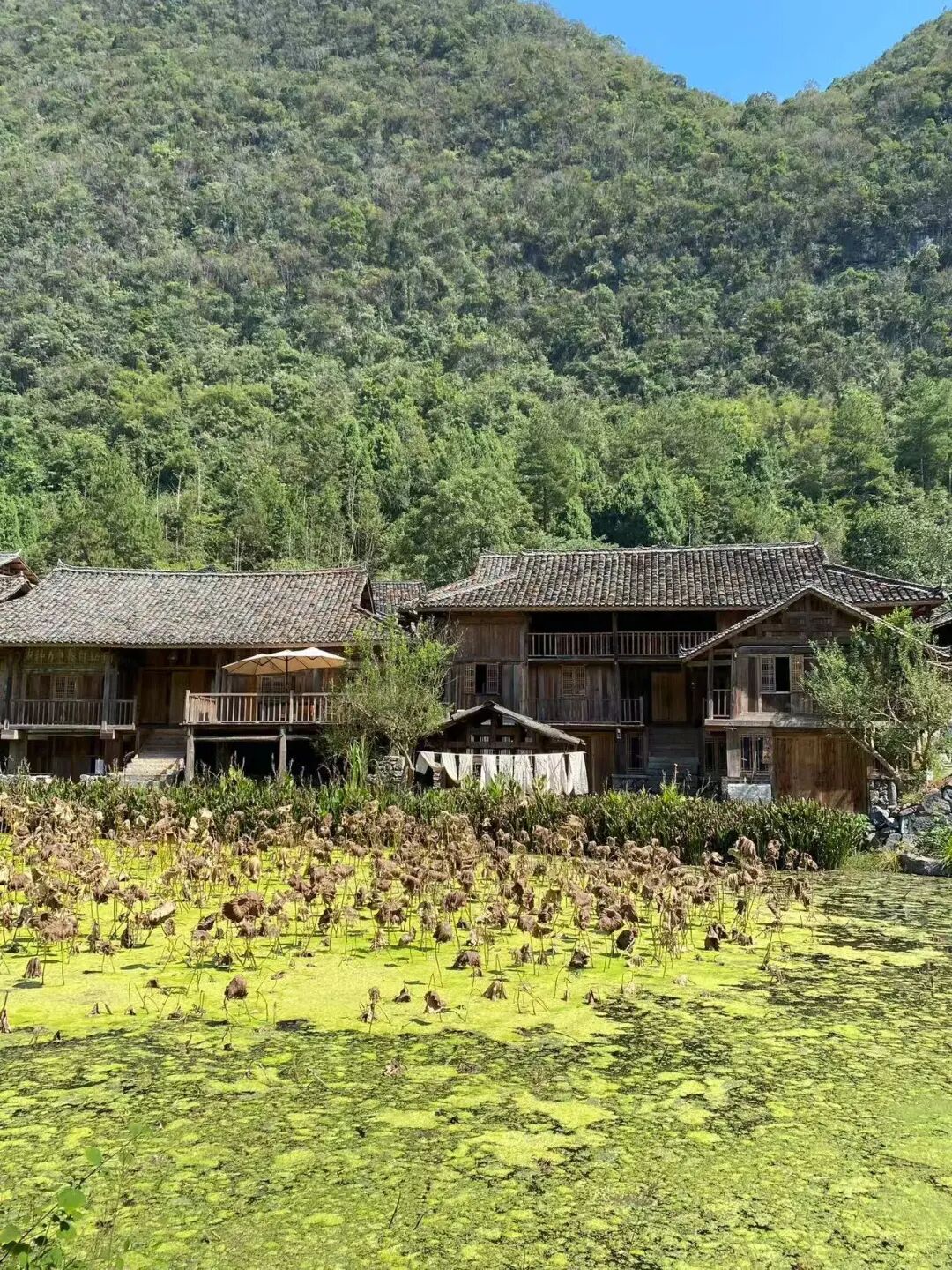 挖到最有“爽感”的小城，国内顶流，自带空调模式，没蚊子，8月全年人少最美！