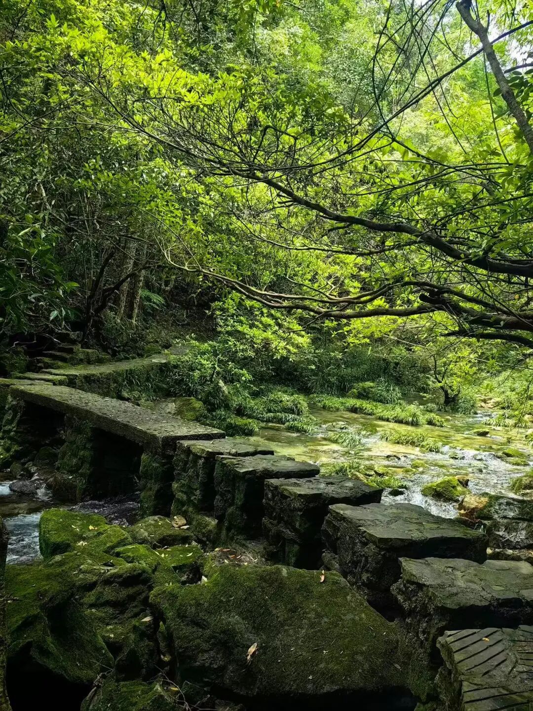 挖到最有“爽感”的小城，国内顶流，自带空调模式，没蚊子，8月全年人少最美！