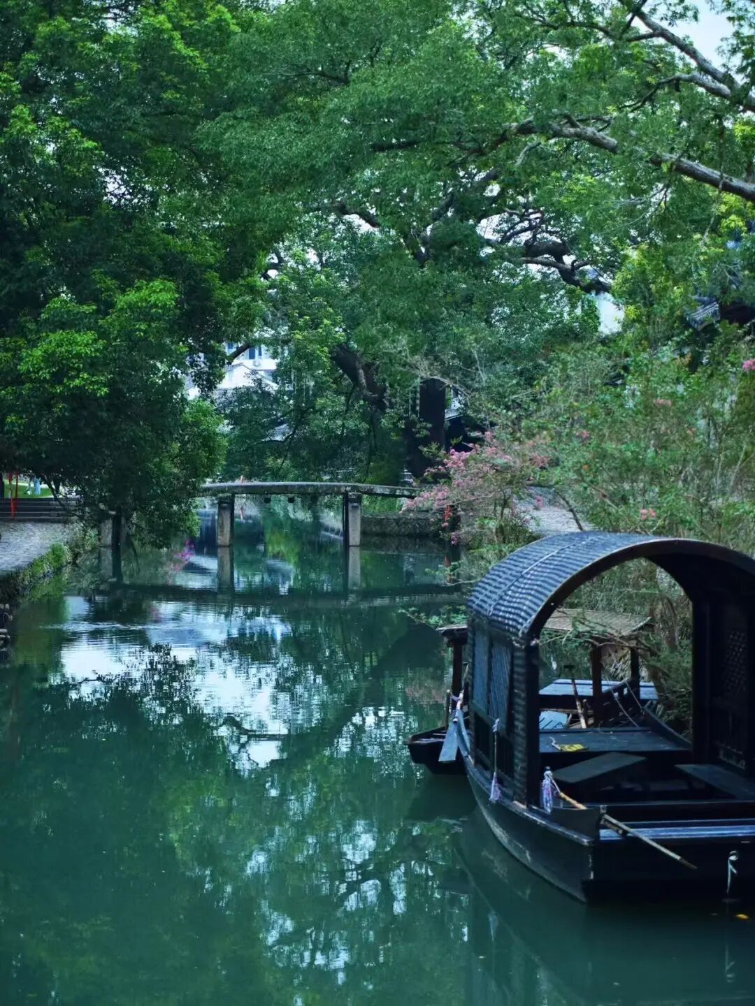 高铁2h，被严重低估的赏秋小城，银杏不输腾冲，晒秋堪比婺源，已经美了1800年！