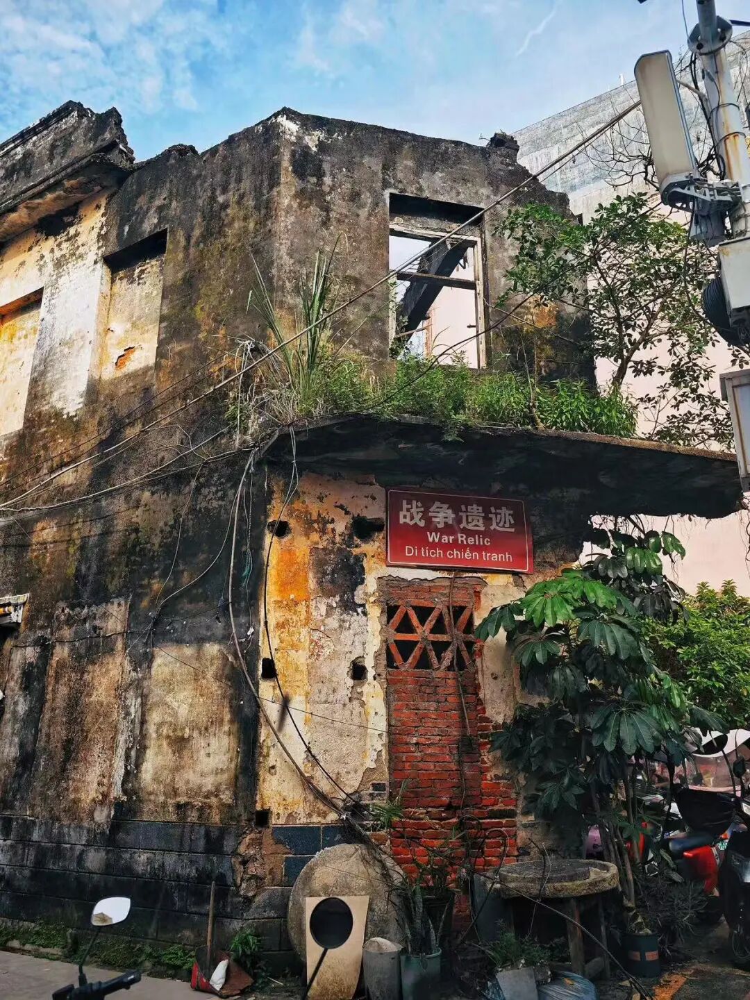 与越南隔海相望，这座边境小城真宝藏，小众物价低、海鲜和水果不问价，随便吃！