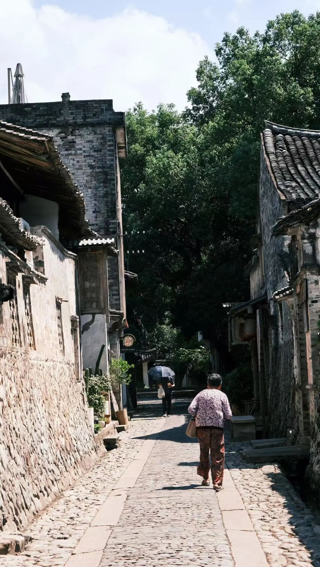 高铁2h，被严重低估的赏秋小城，银杏不输腾冲，晒秋堪比婺源，已经美了1800年！