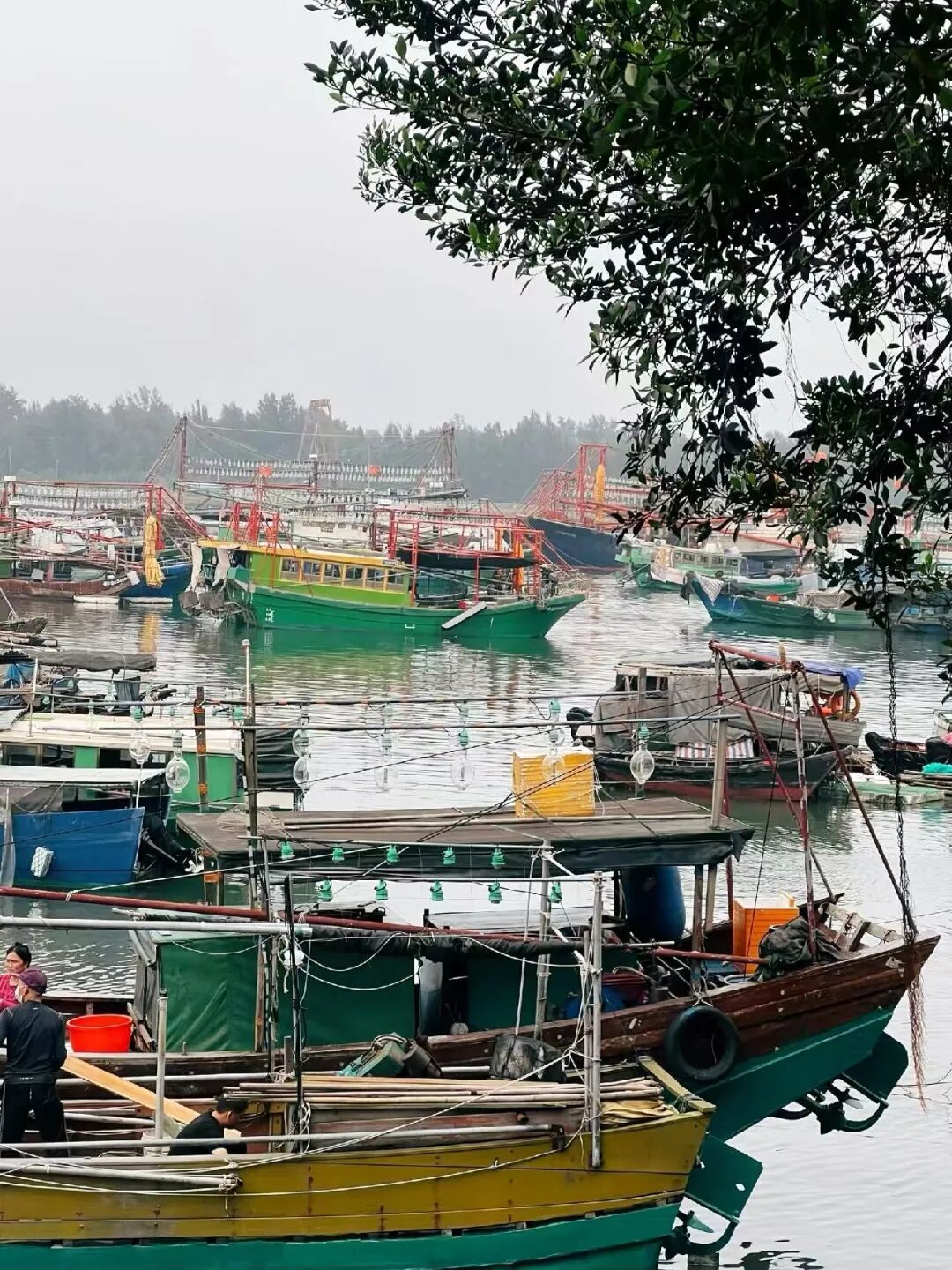 与越南隔海相望，这座边境小城真宝藏，小众物价低、海鲜和水果不问价，随便吃！