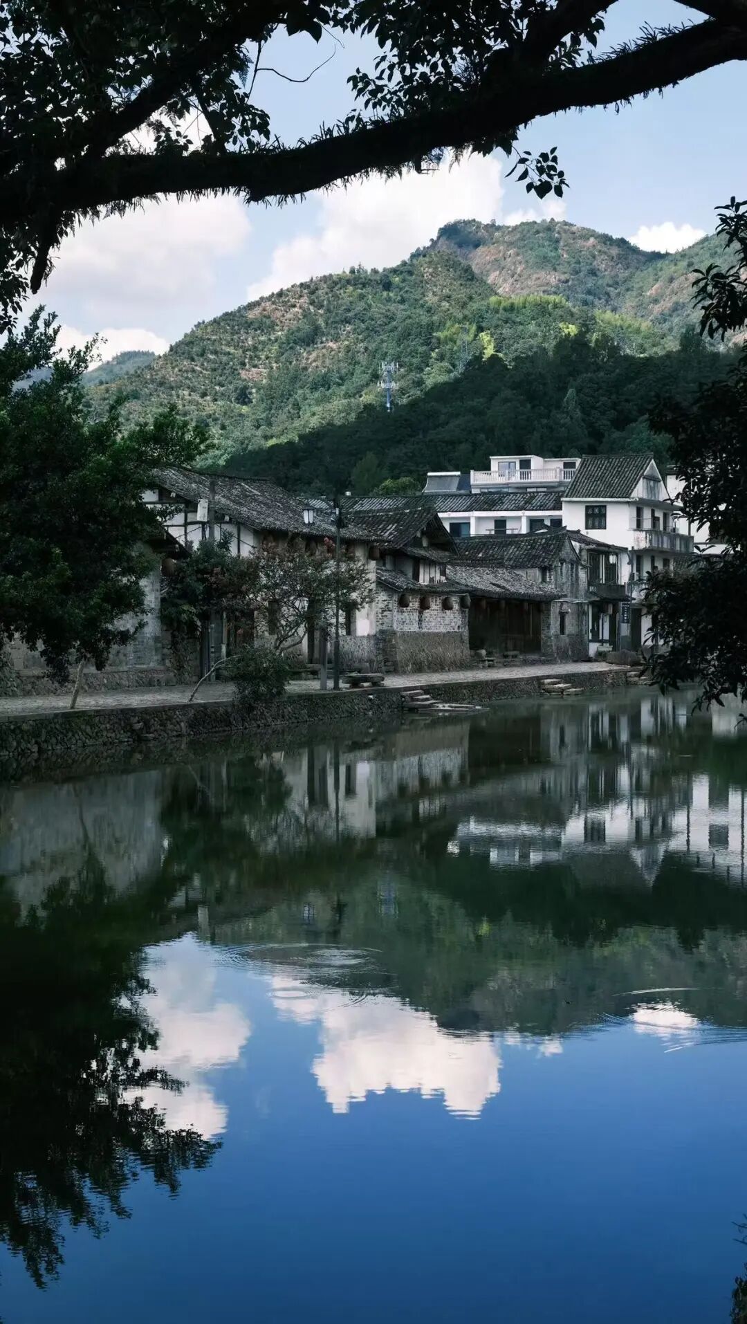 高铁2h，被严重低估的赏秋小城，银杏不输腾冲，晒秋堪比婺源，已经美了1800年！