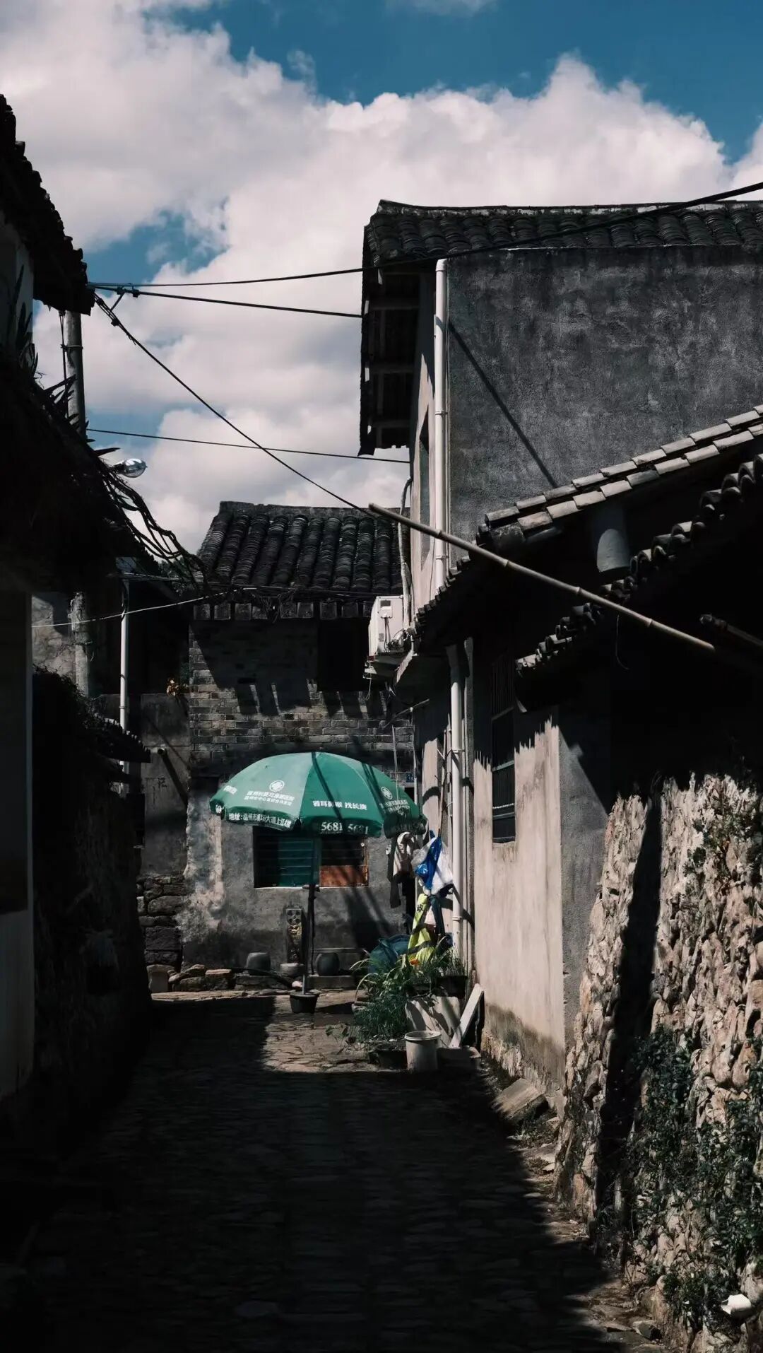 高铁2h，被严重低估的赏秋小城，银杏不输腾冲，晒秋堪比婺源，已经美了1800年！