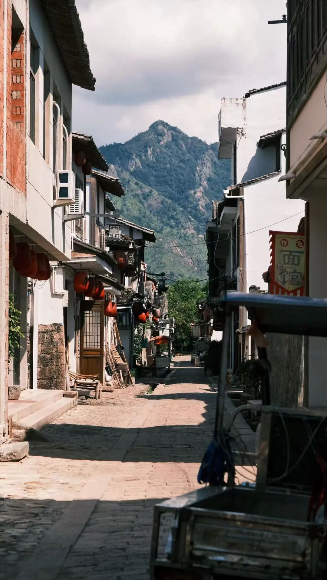 高铁2h，被严重低估的赏秋小城，银杏不输腾冲，晒秋堪比婺源，已经美了1800年！