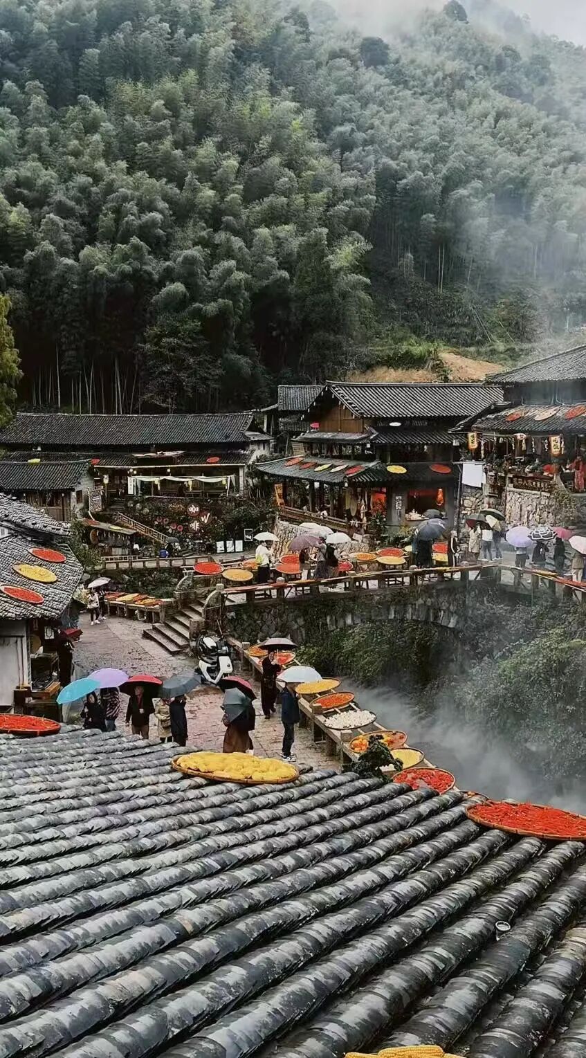 高铁2h，被严重低估的赏秋小城，银杏不输腾冲，晒秋堪比婺源，已经美了1800年！