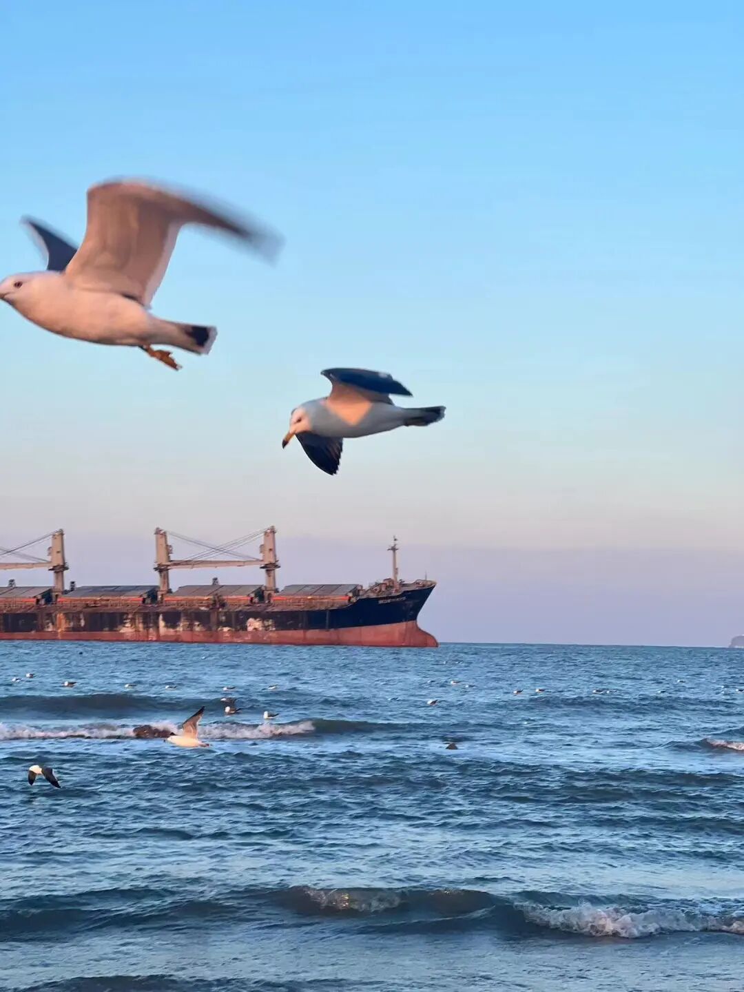 不是青烟威！国家地理盛赞，坐拥「最美海岸线」的小城，果冻海、童话小屋、海上缆车，实时温度23℃，夏日不能错过！