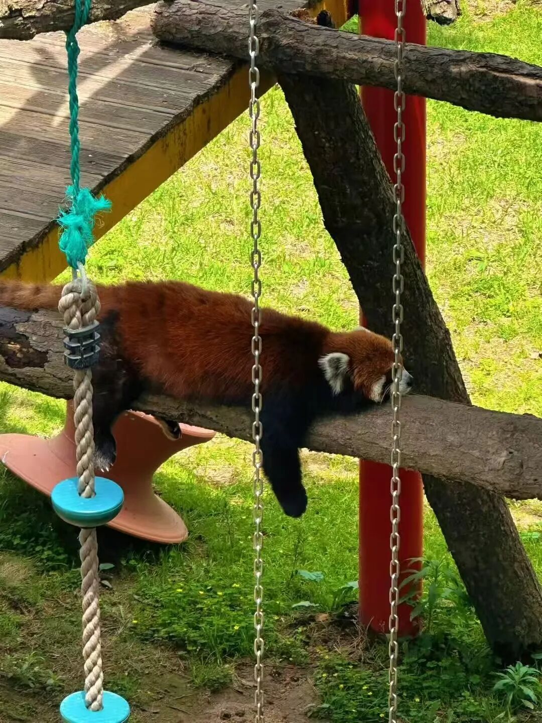 不是青烟威！国家地理盛赞，坐拥「最美海岸线」的小城，果冻海、童话小屋、海上缆车，实时温度23℃，夏日不能错过！