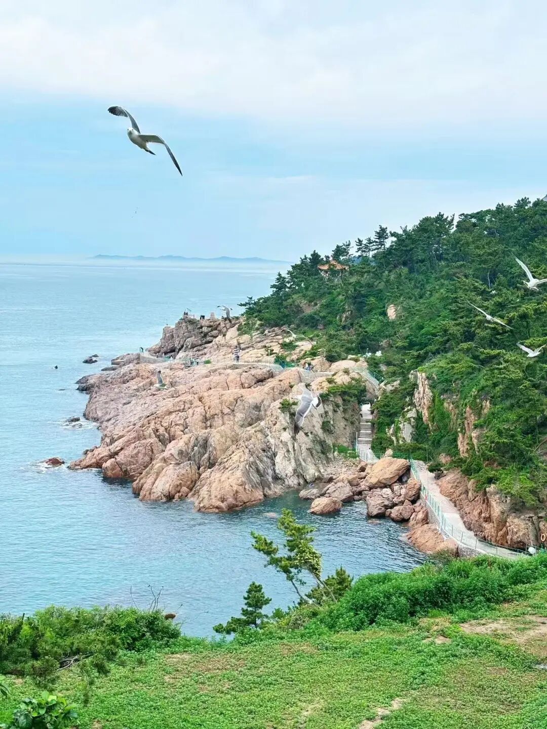 不是青烟威！国家地理盛赞，坐拥「最美海岸线」的小城，果冻海、童话小屋、海上缆车，实时温度23℃，夏日不能错过！