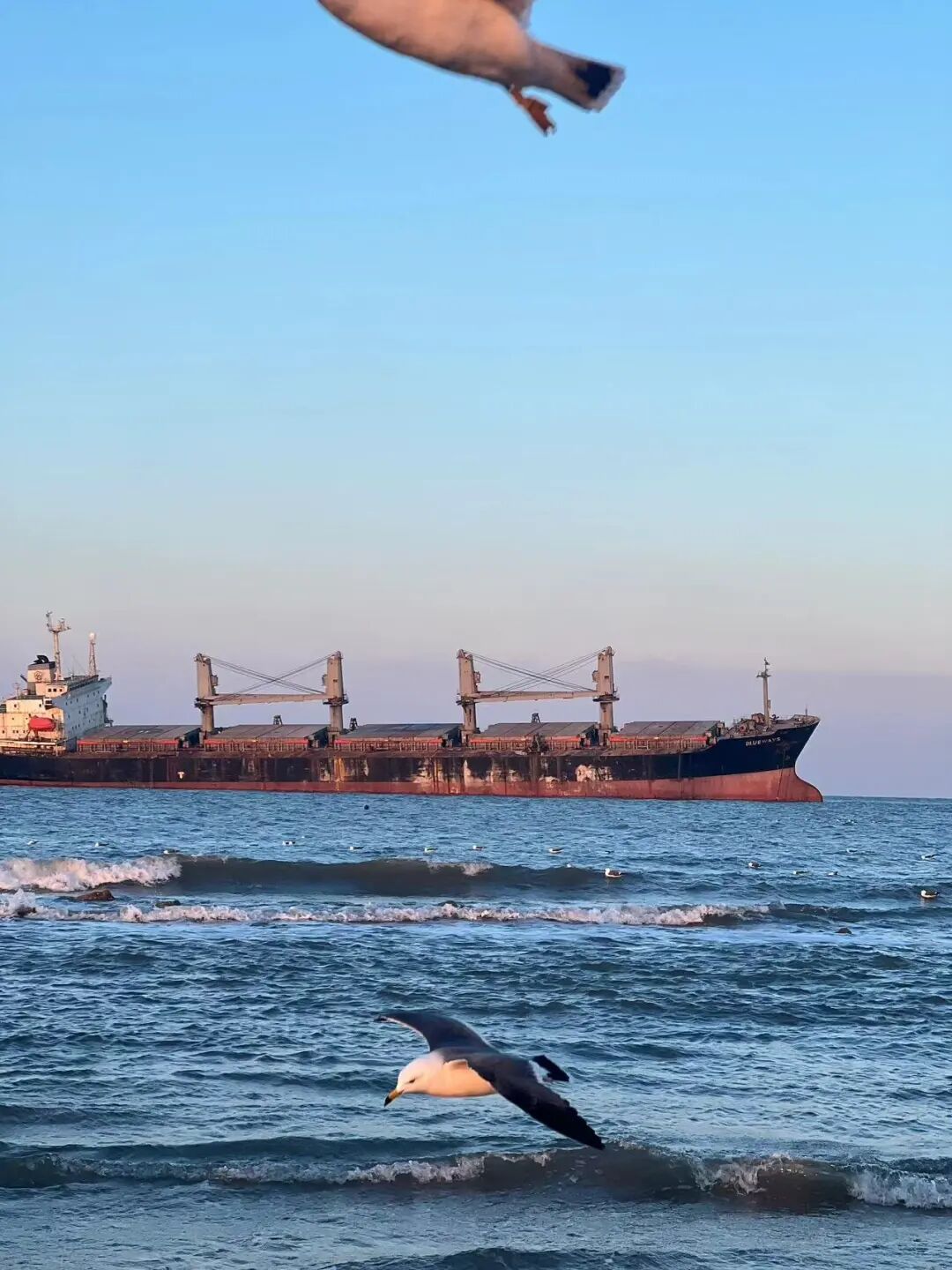 不是青烟威！国家地理盛赞，坐拥「最美海岸线」的小城，果冻海、童话小屋、海上缆车，实时温度23℃，夏日不能错过！