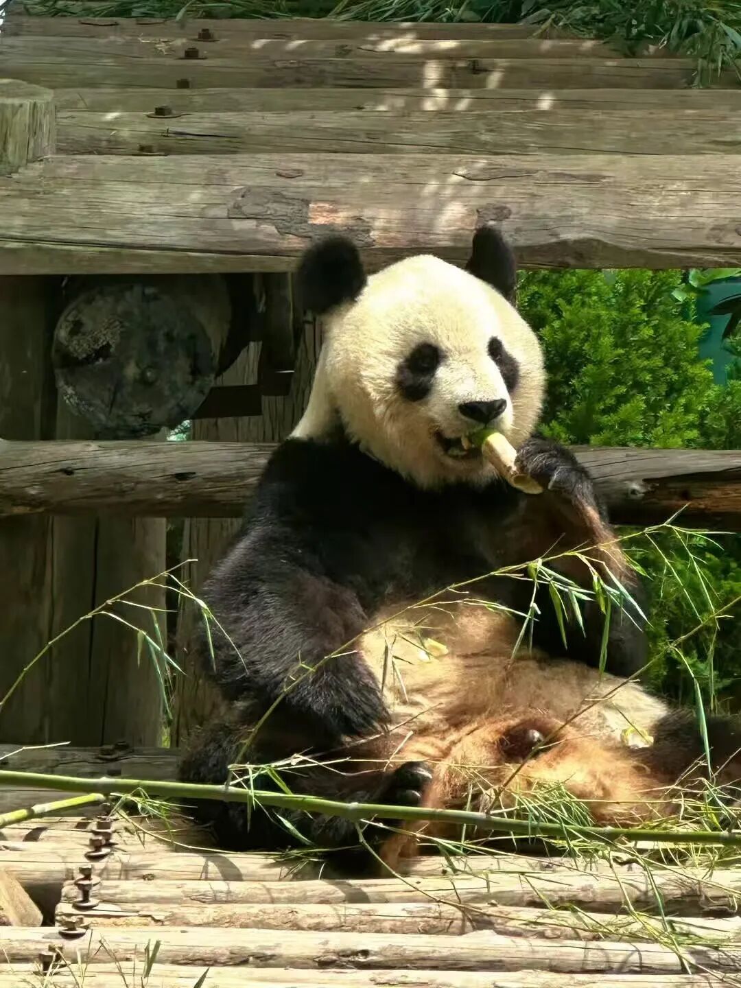不是青烟威！国家地理盛赞，坐拥「最美海岸线」的小城，果冻海、童话小屋、海上缆车，实时温度23℃，夏日不能错过！