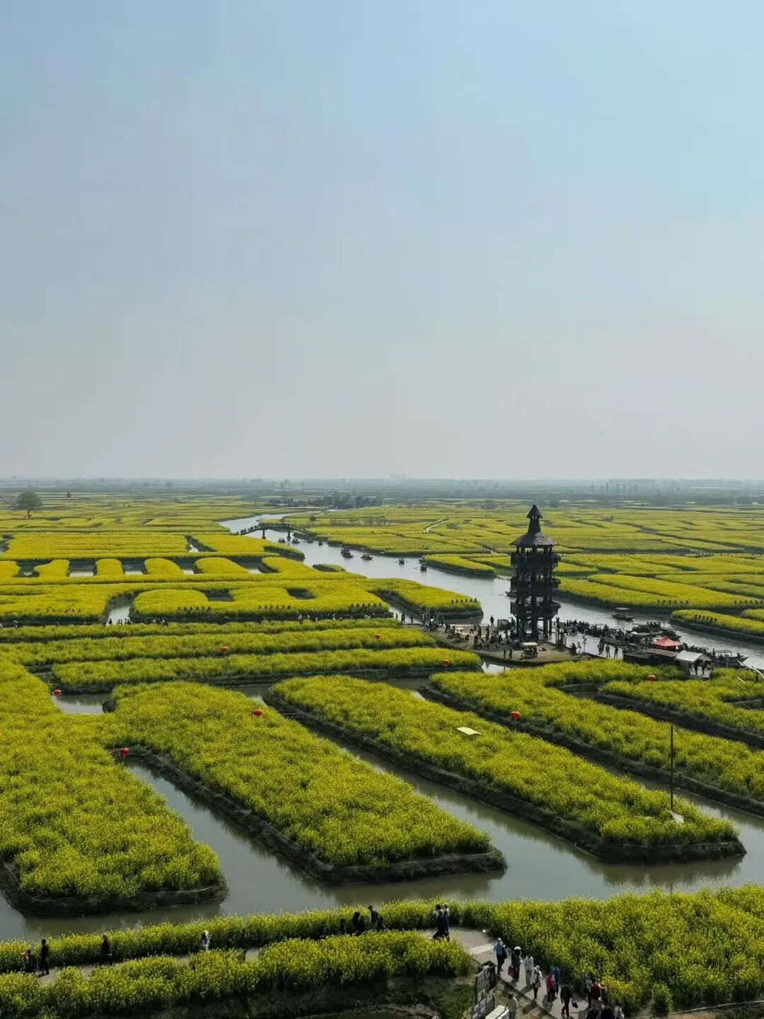 比乌镇人少，比扬州诗意，这座最幸福的早茶小城，蟹黄汤包鲜美，秋天更是美哭了